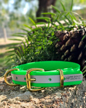 Load image into Gallery viewer, Hi-Viz Working dog style flat collar with Brass Hardware (1”/25mm Width)
