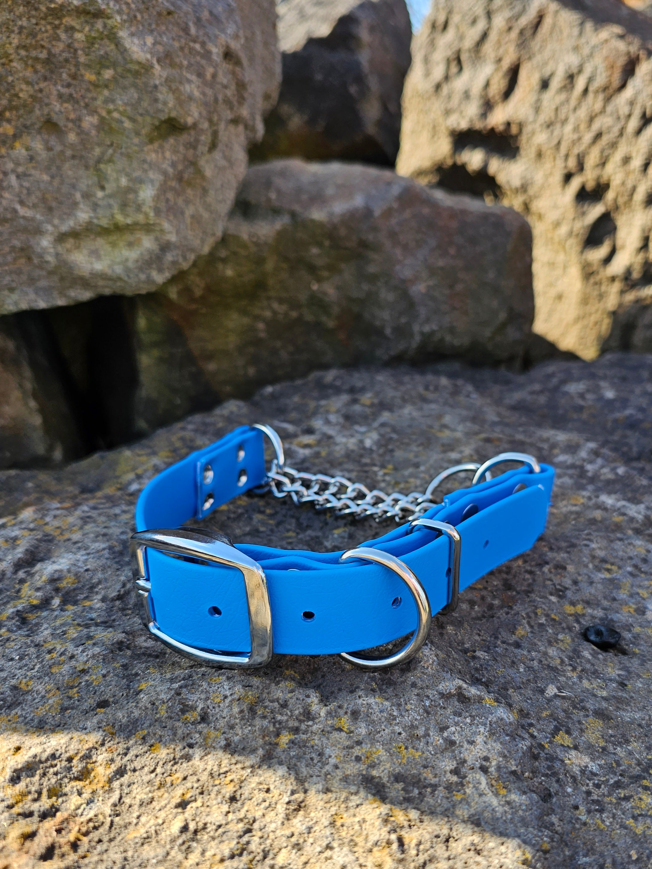 Martingale Collar- 1 inch width