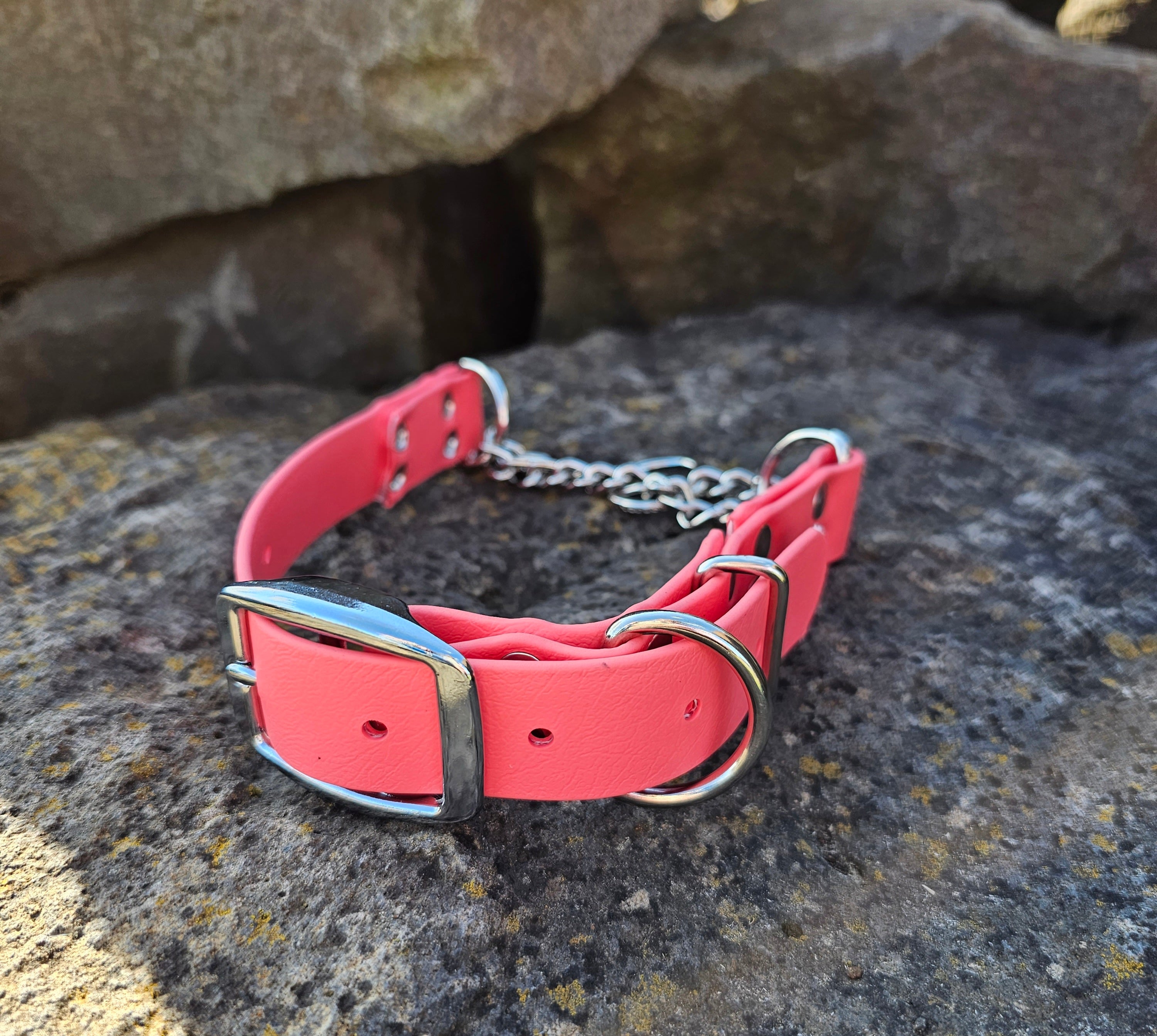 Martingale Collar- 1 inch width