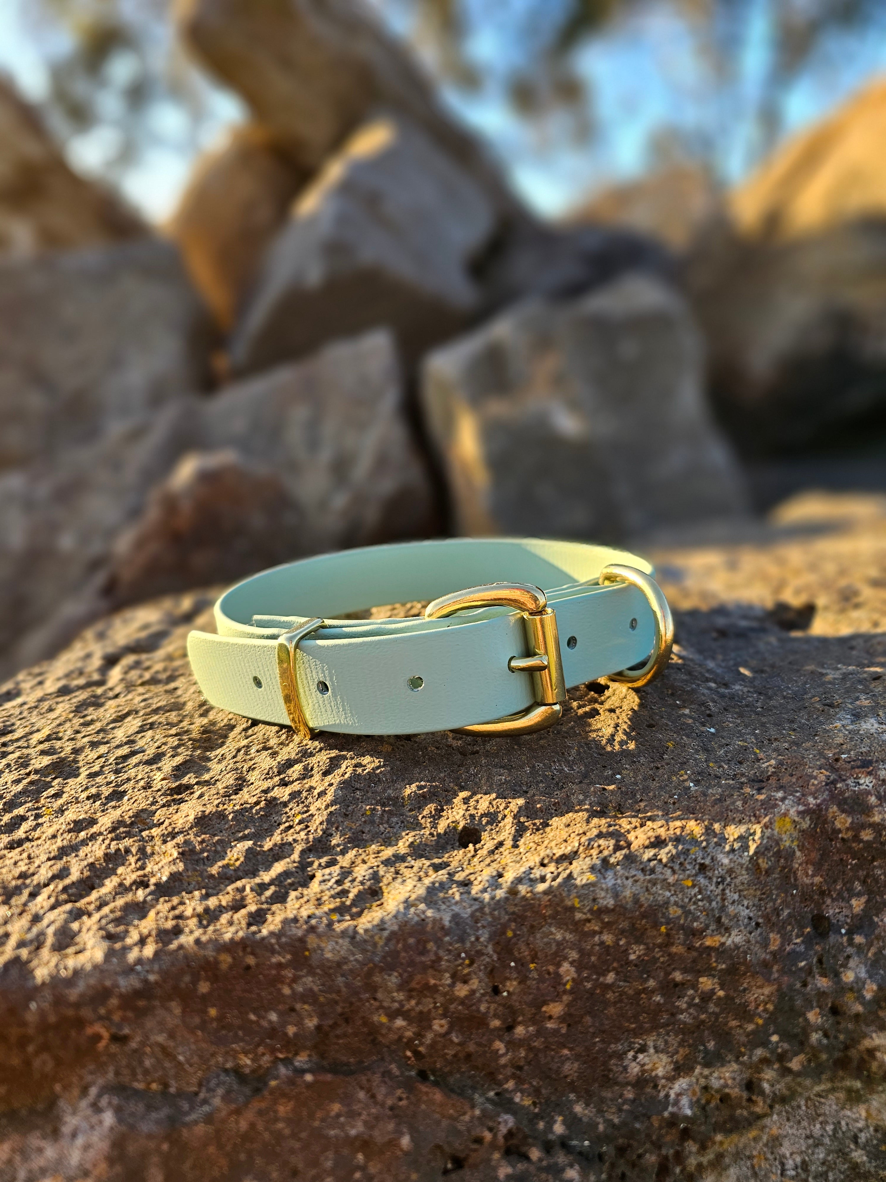 Working dog style flat collar with Brass Hardware 1 Inch Width