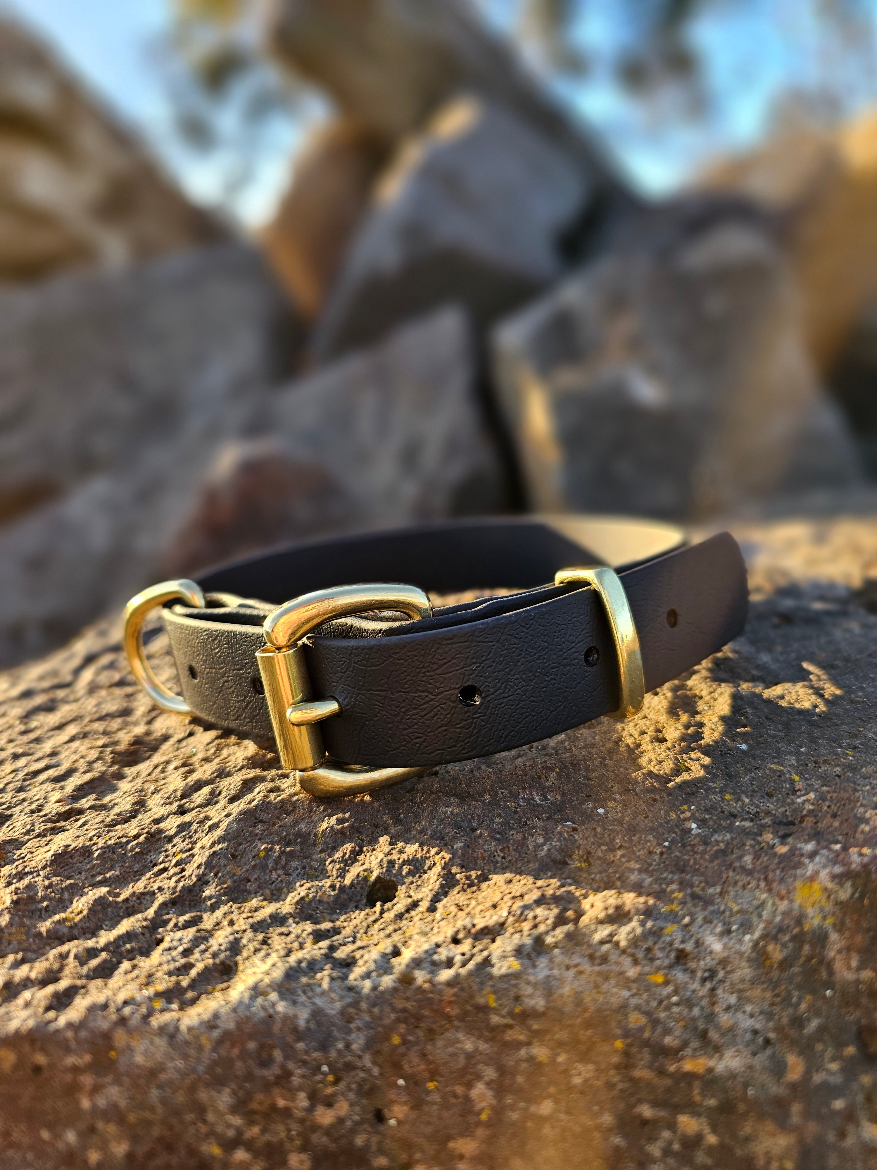 Working dog style flat collar with Brass Hardware 1 Inch Width