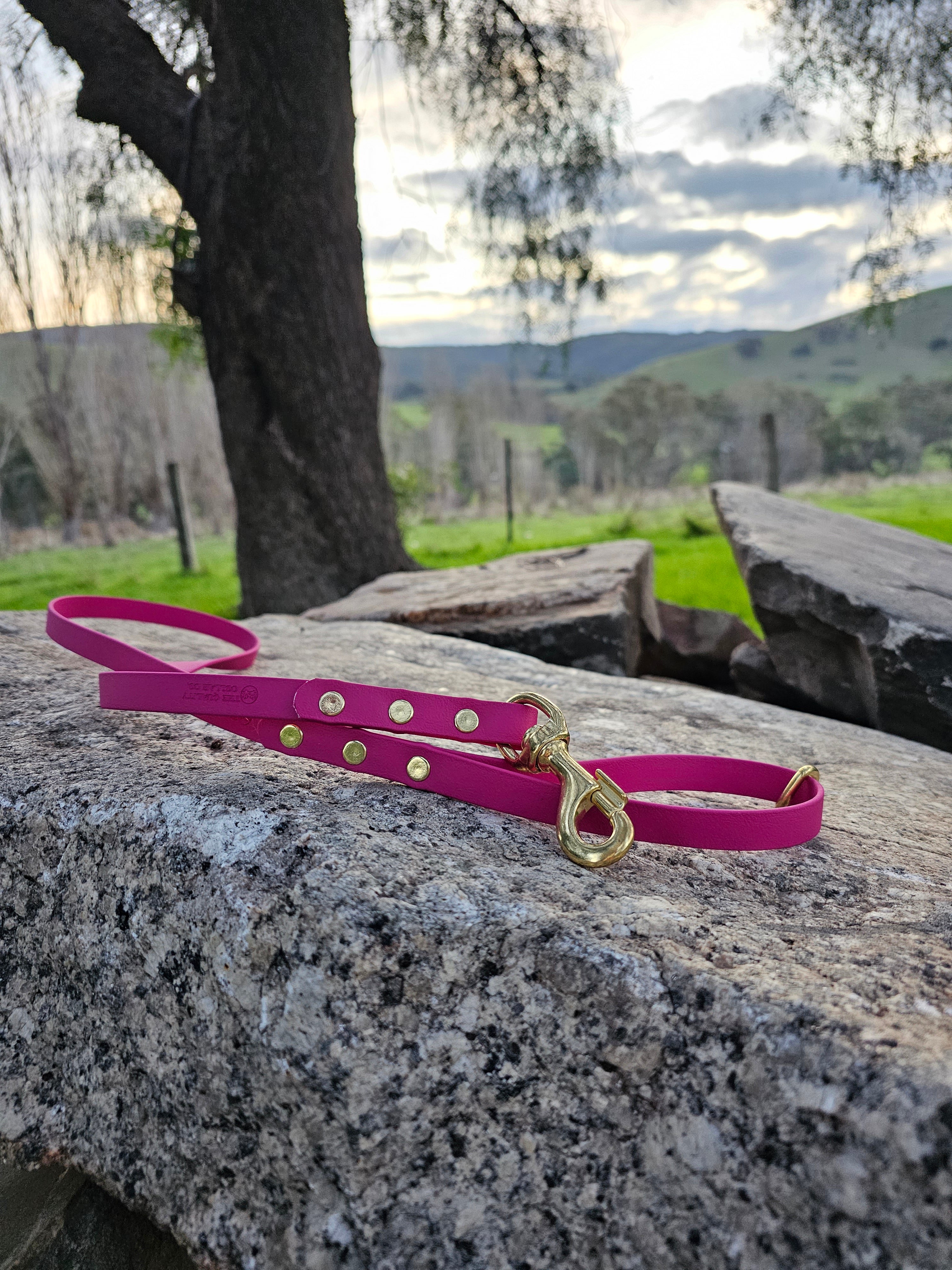 Standard leash