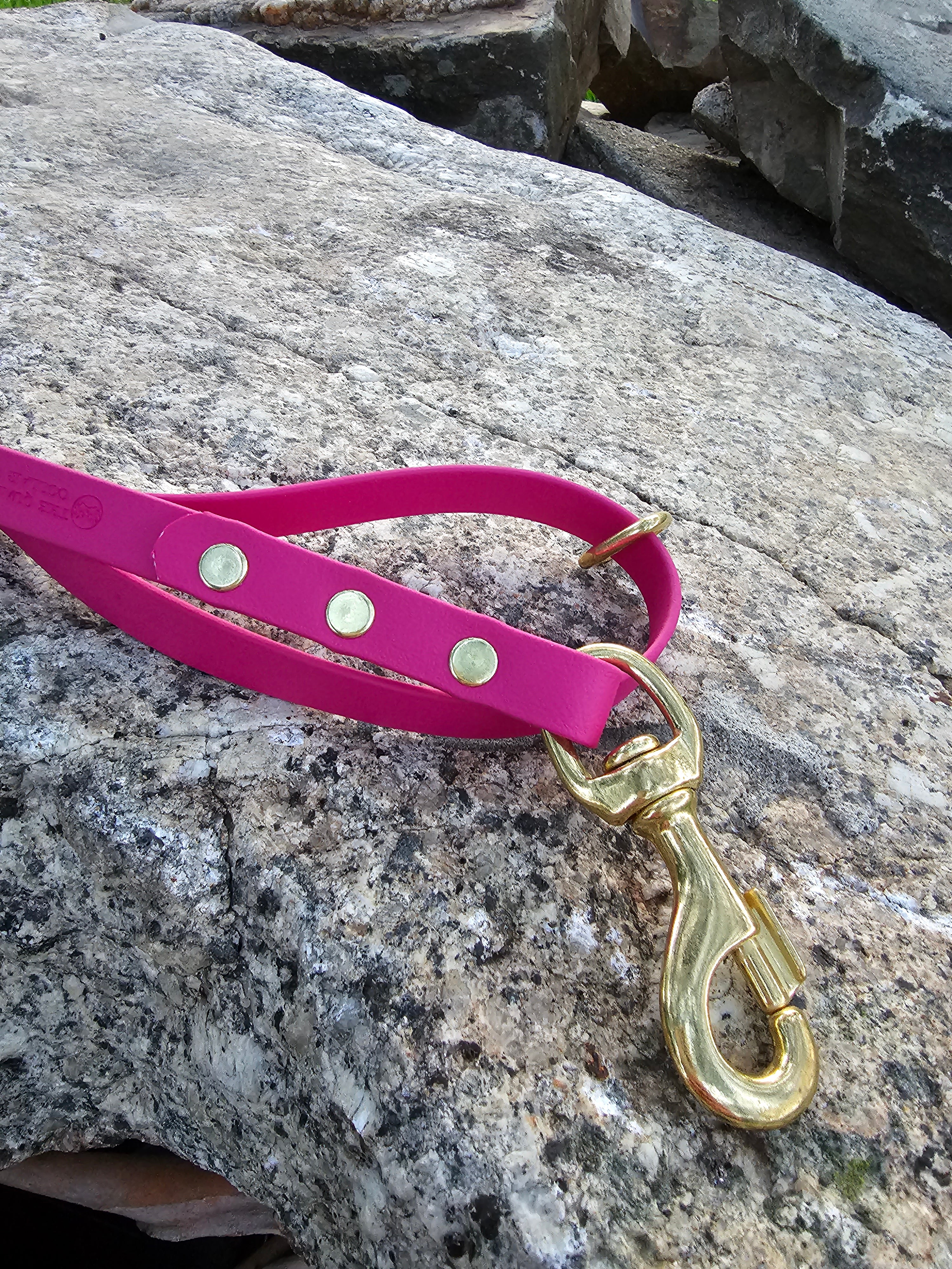The Ultimate Adventure Leash