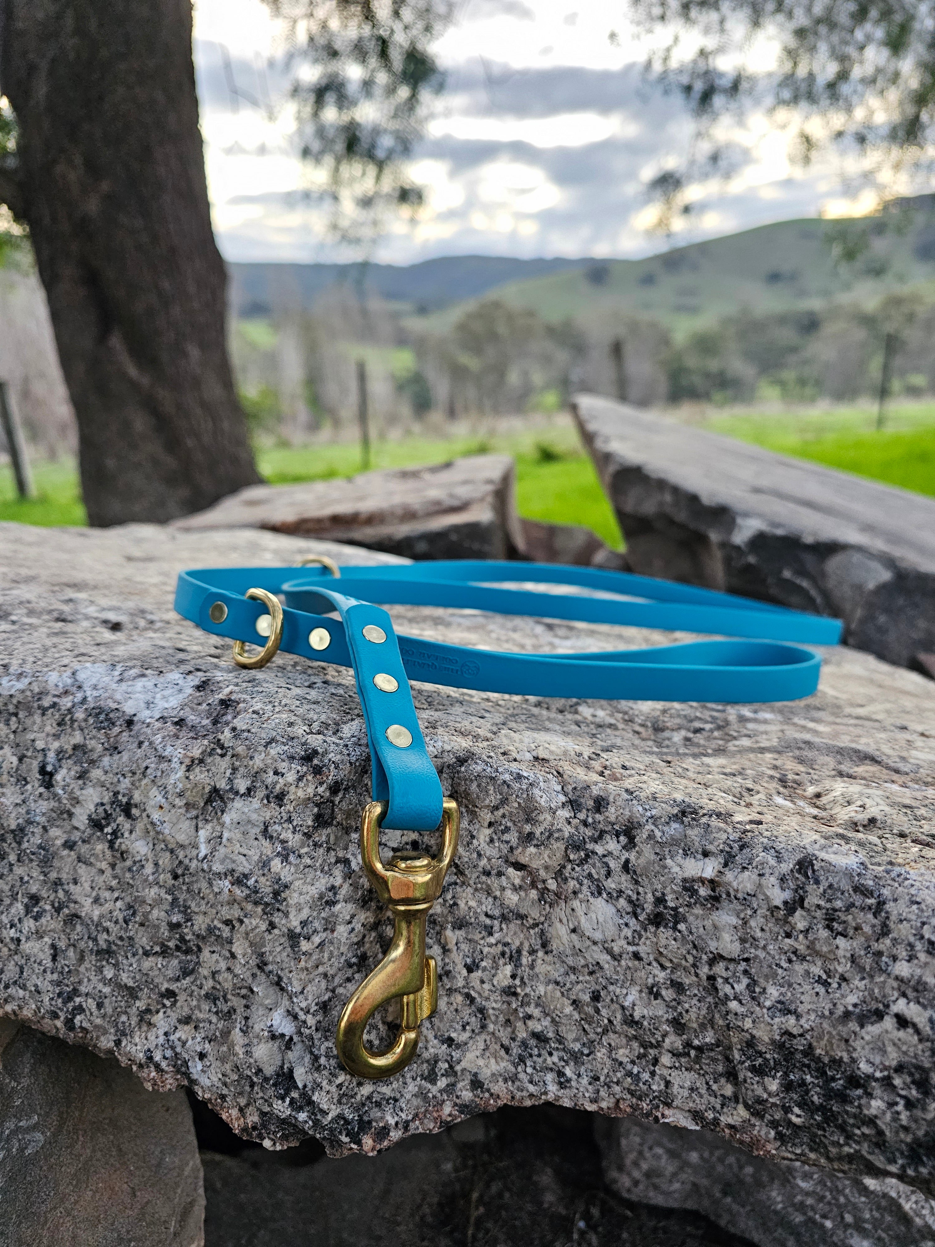 Standard leash