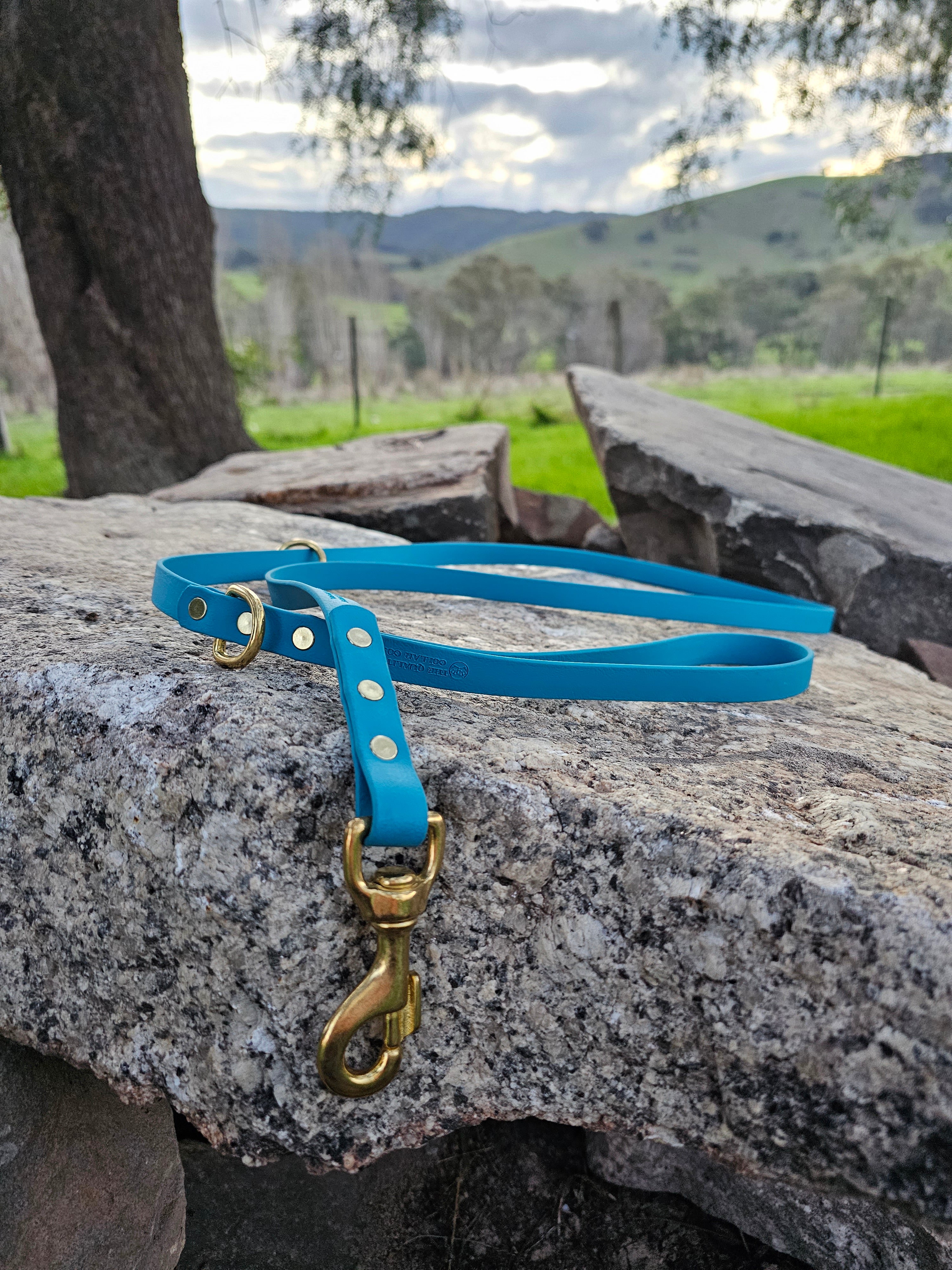 The Ultimate Adventure Leash