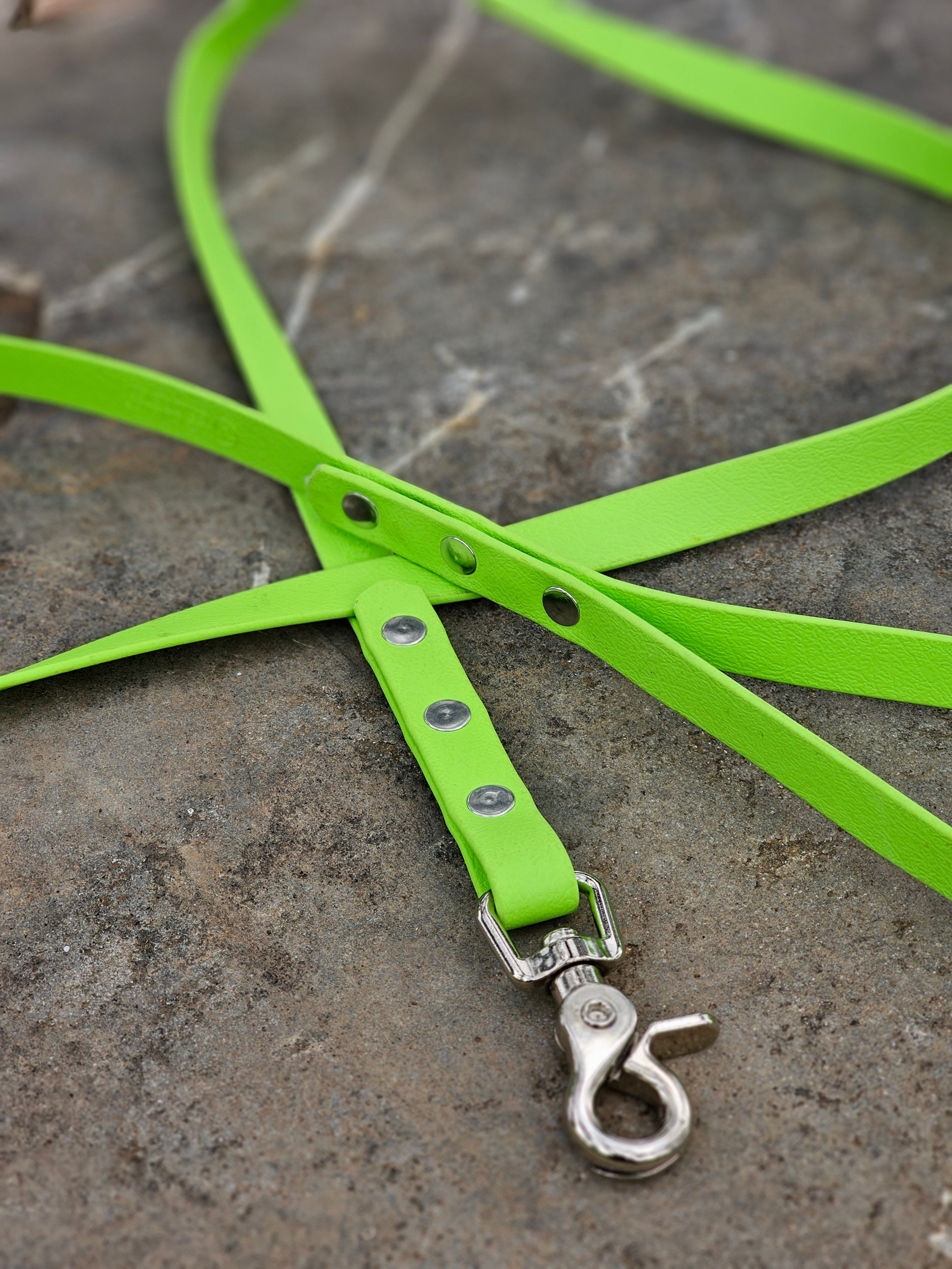 Standard leash