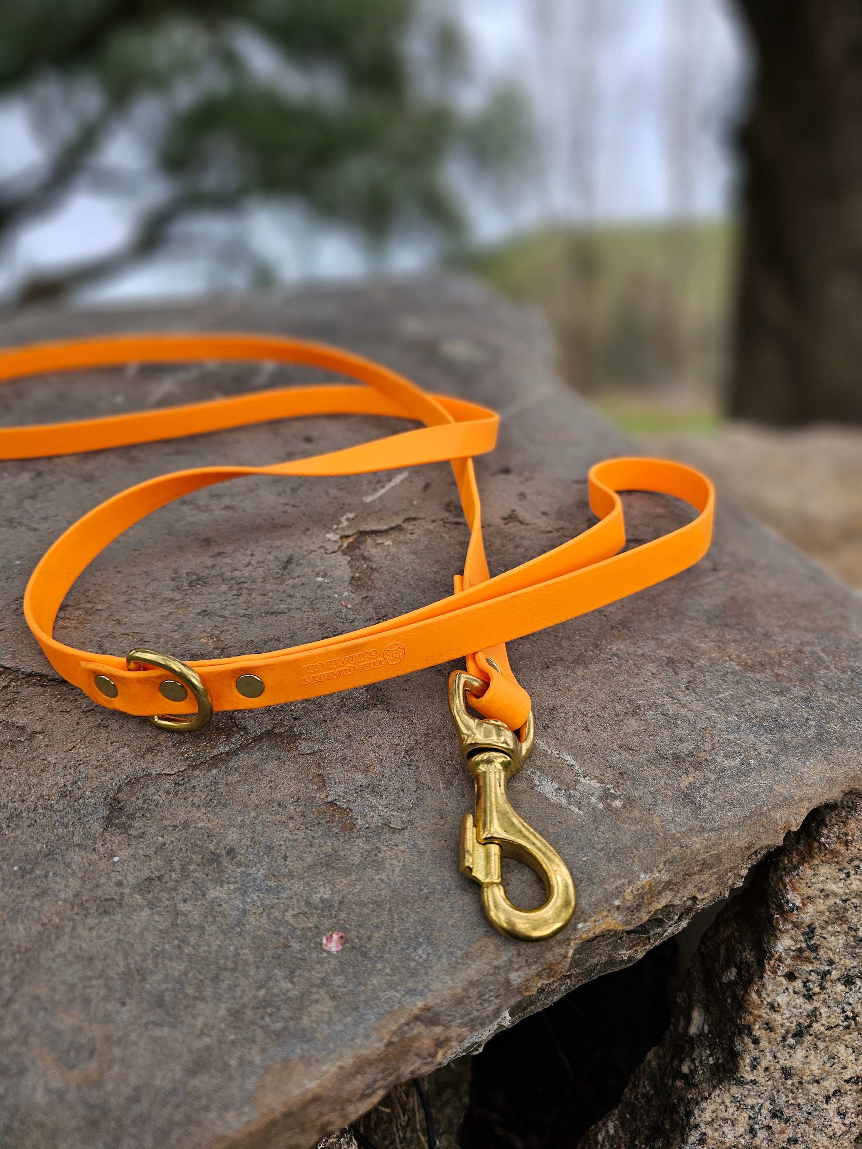 Standard leash