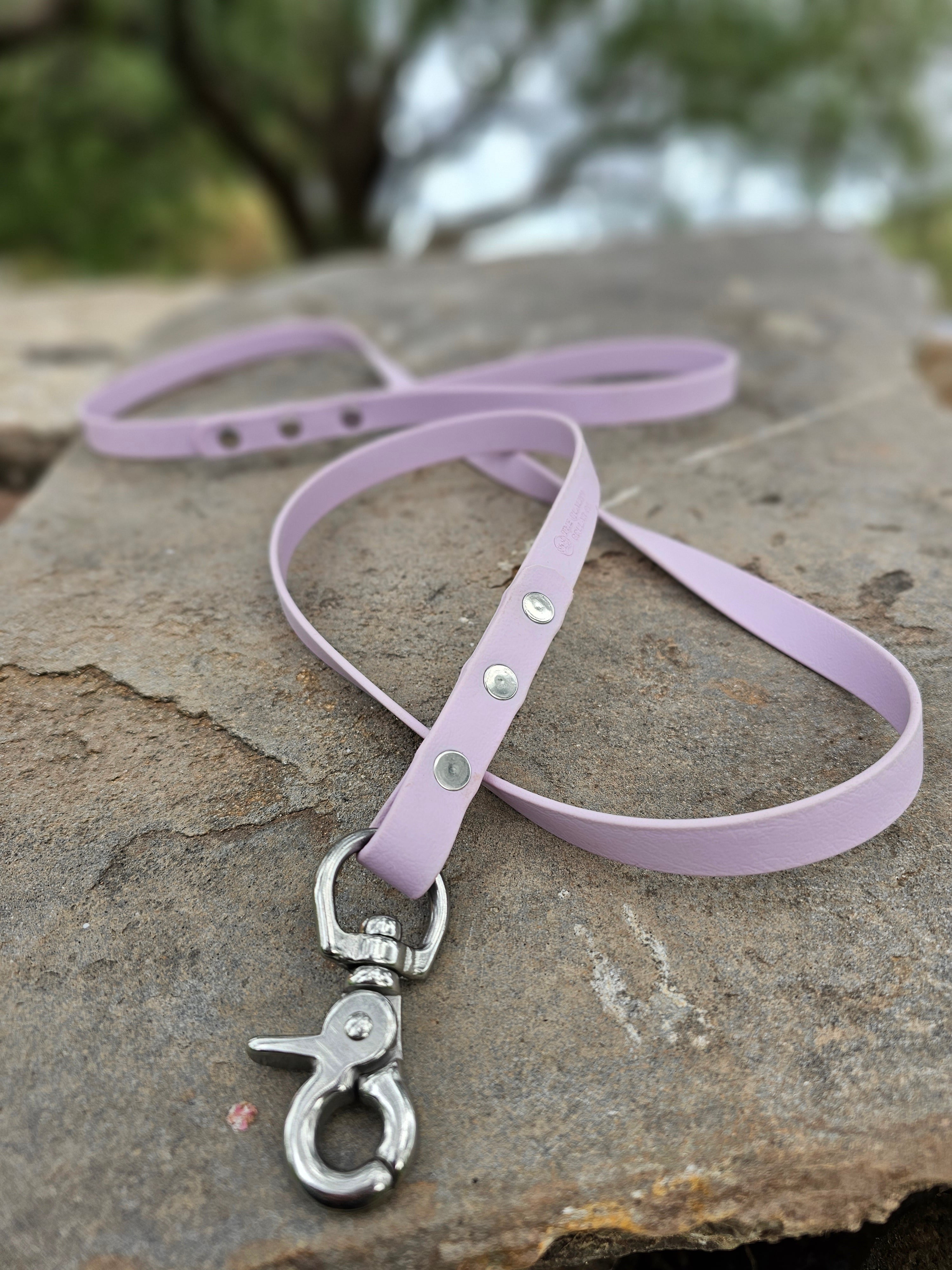 Standard leash