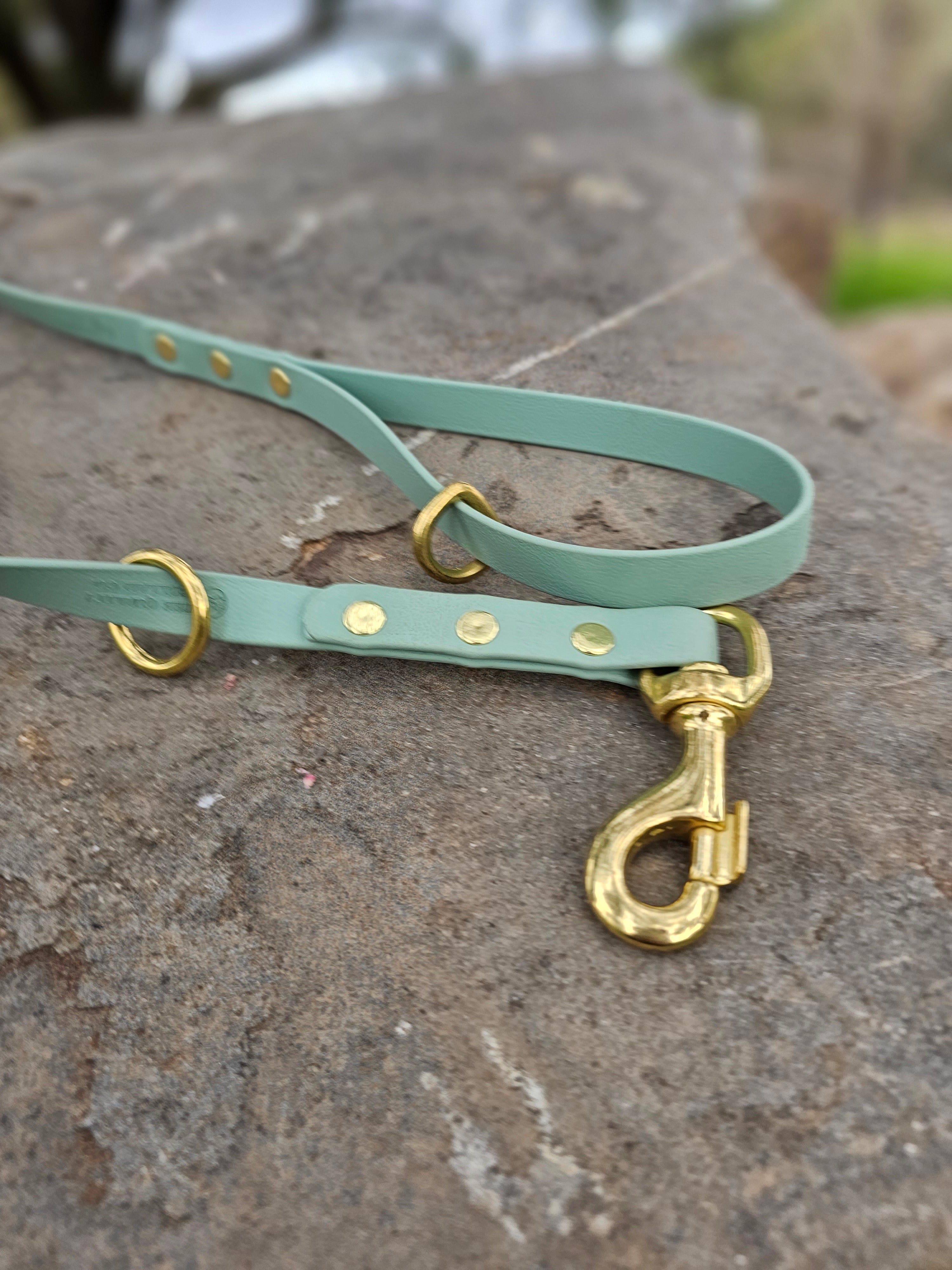 Standard leash