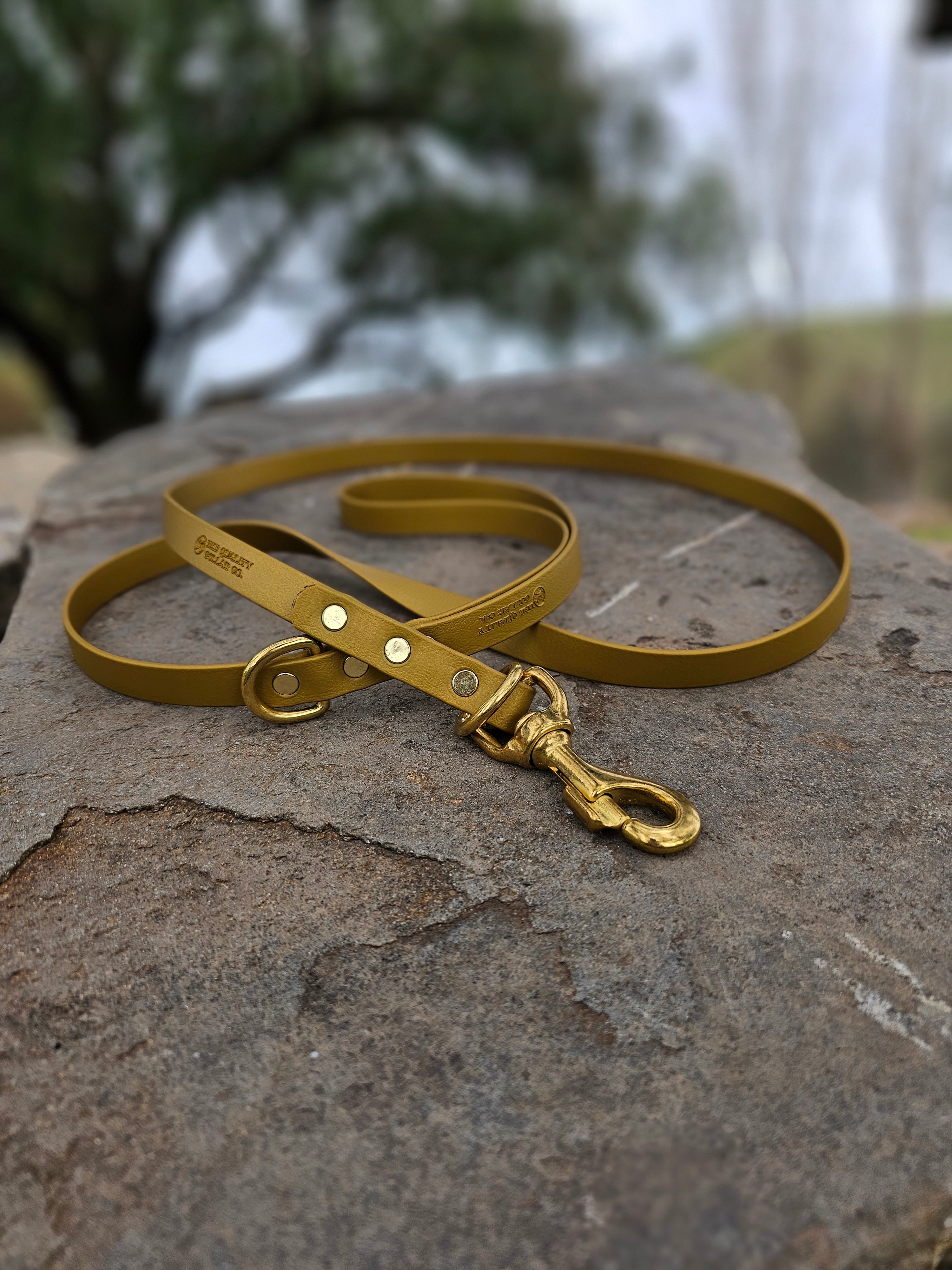 Standard leash