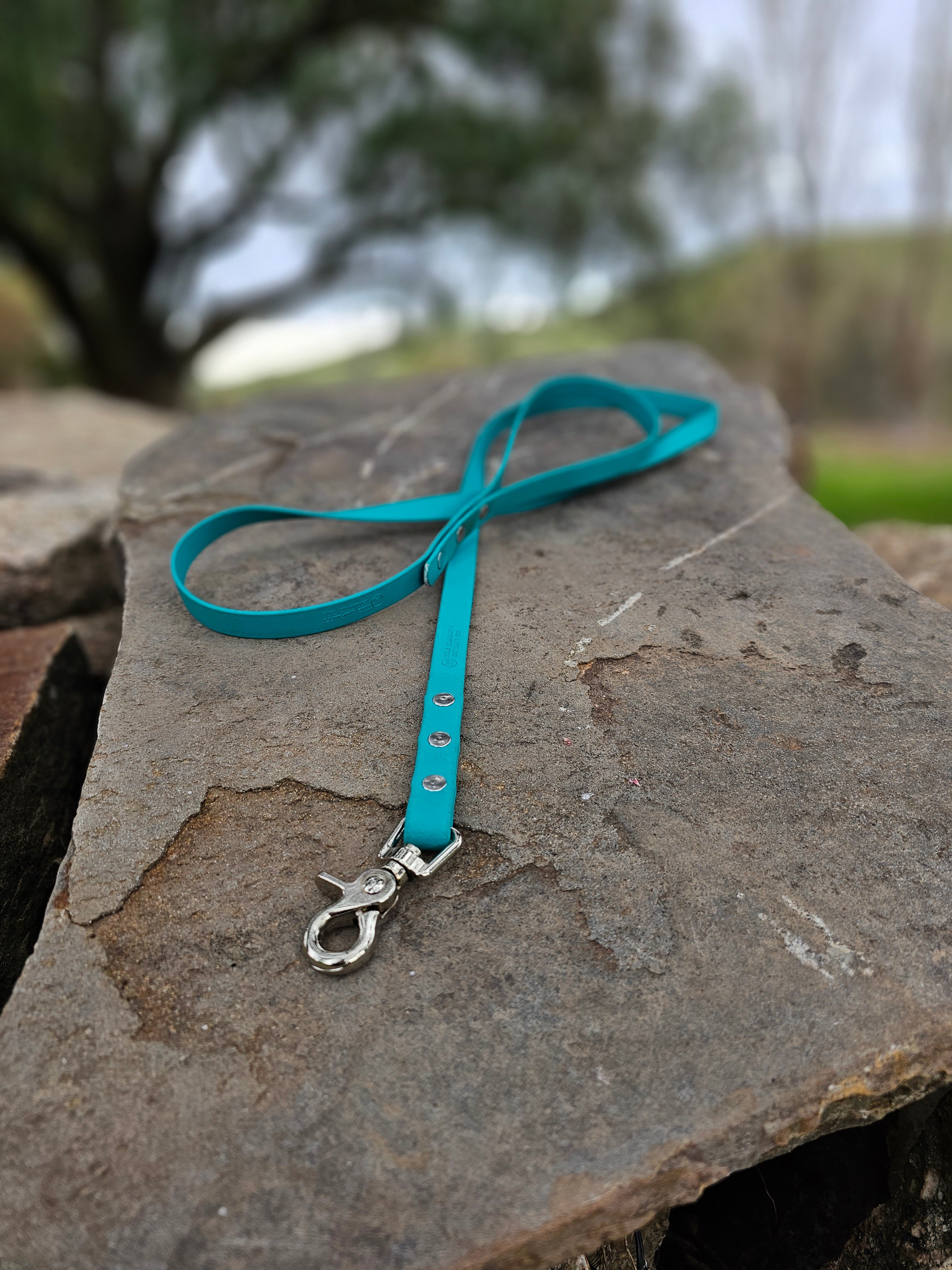 Standard leash