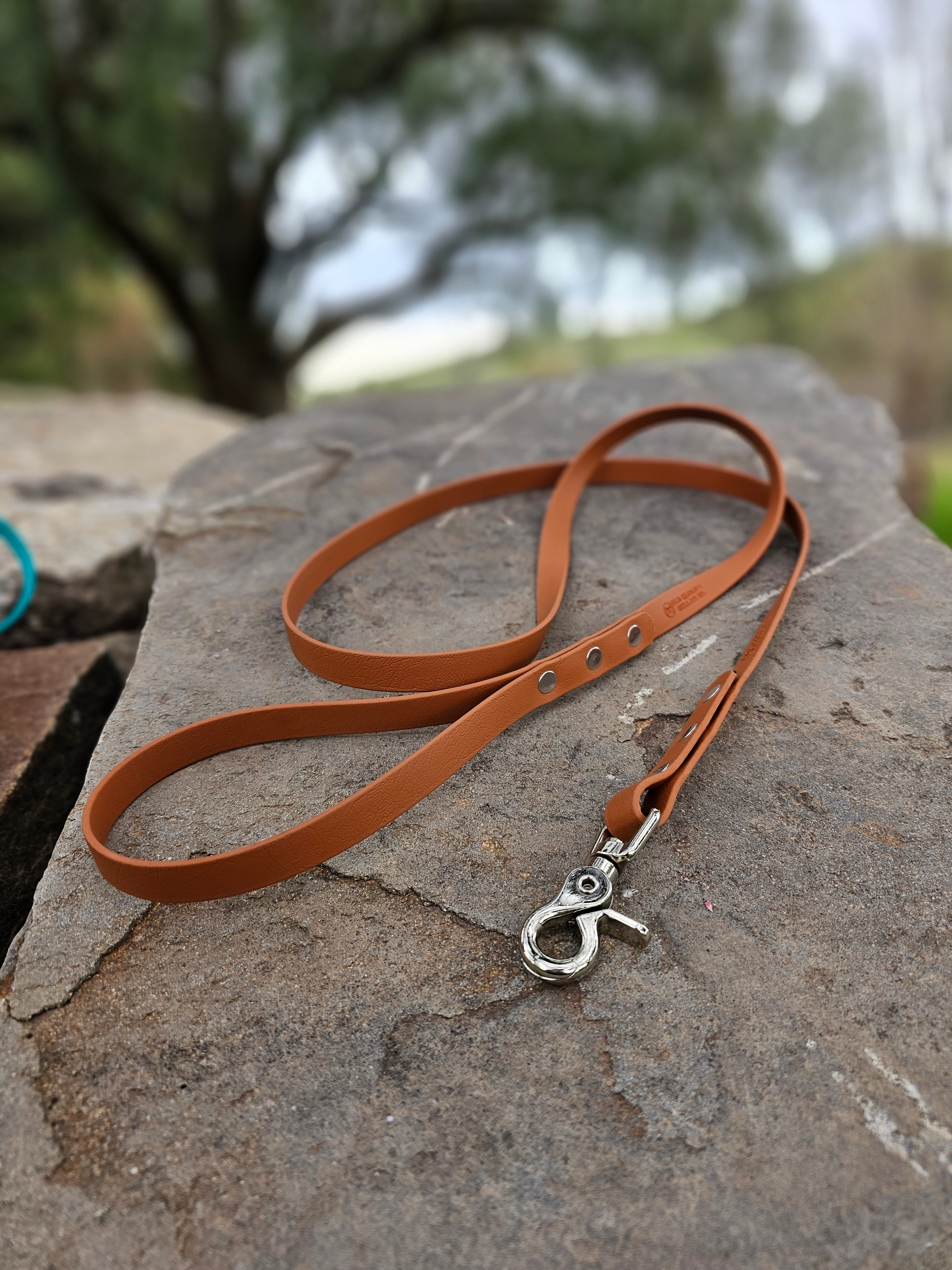 Standard leash