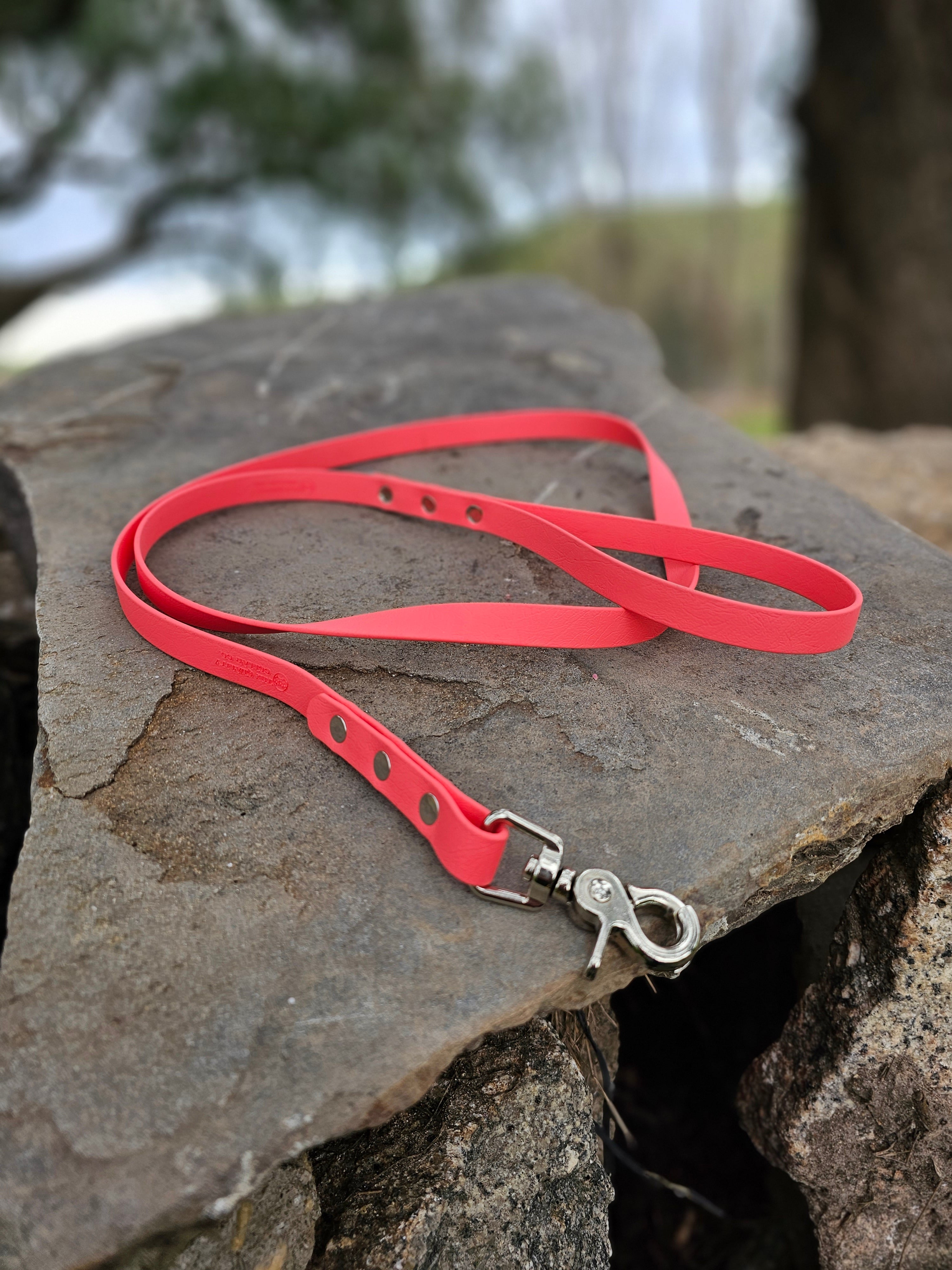 Standard leash