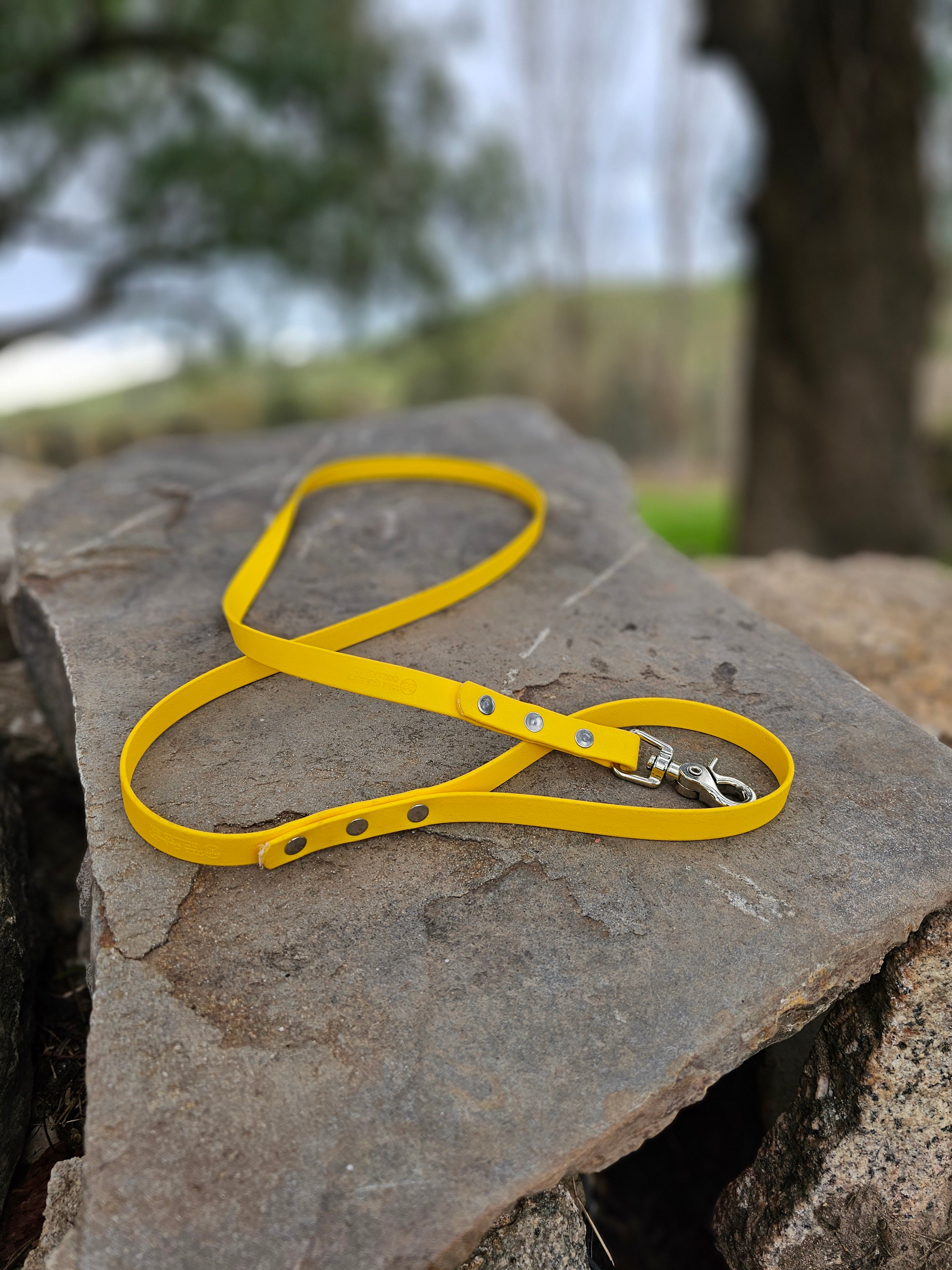 Standard leash