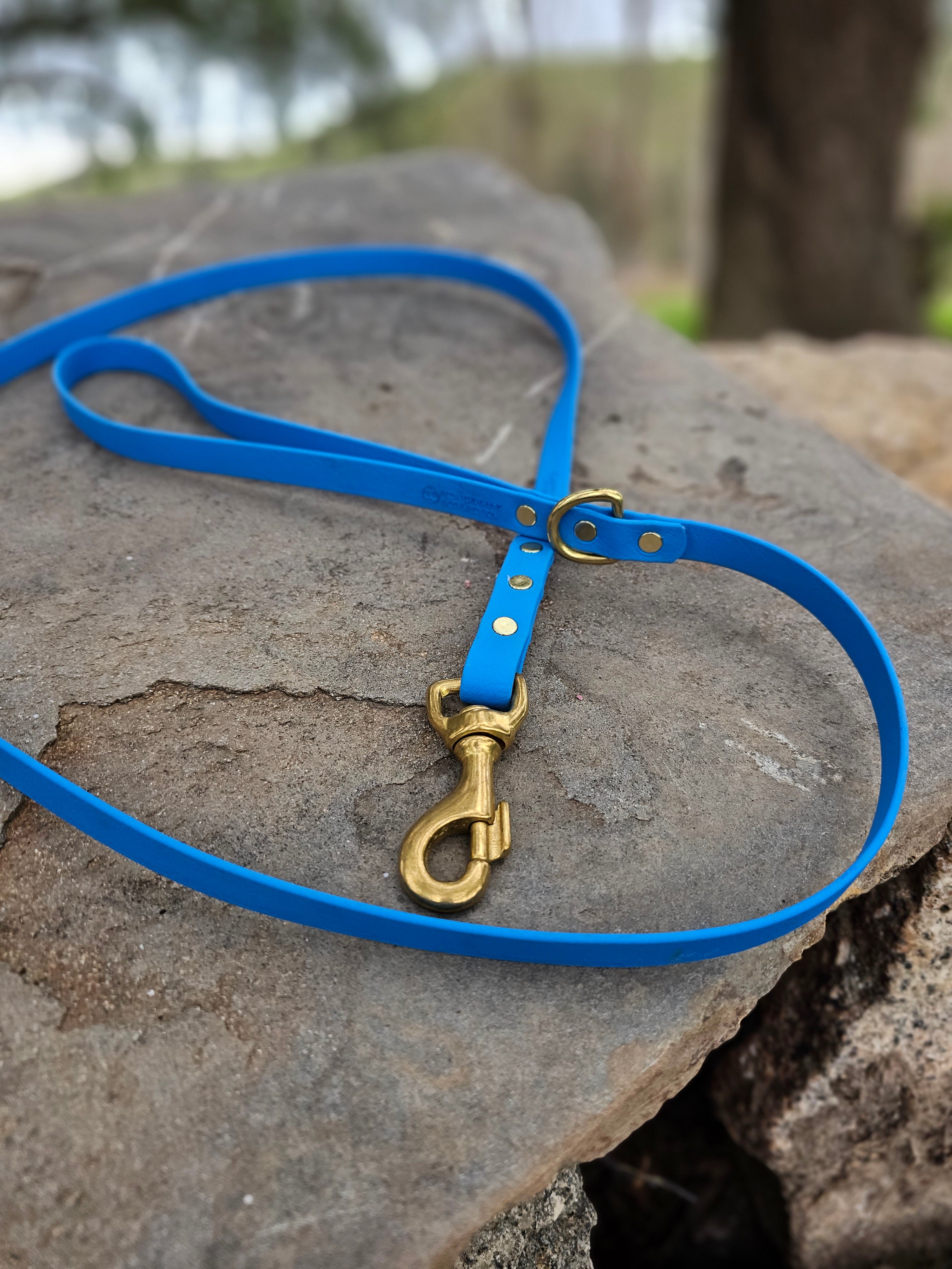 Standard leash