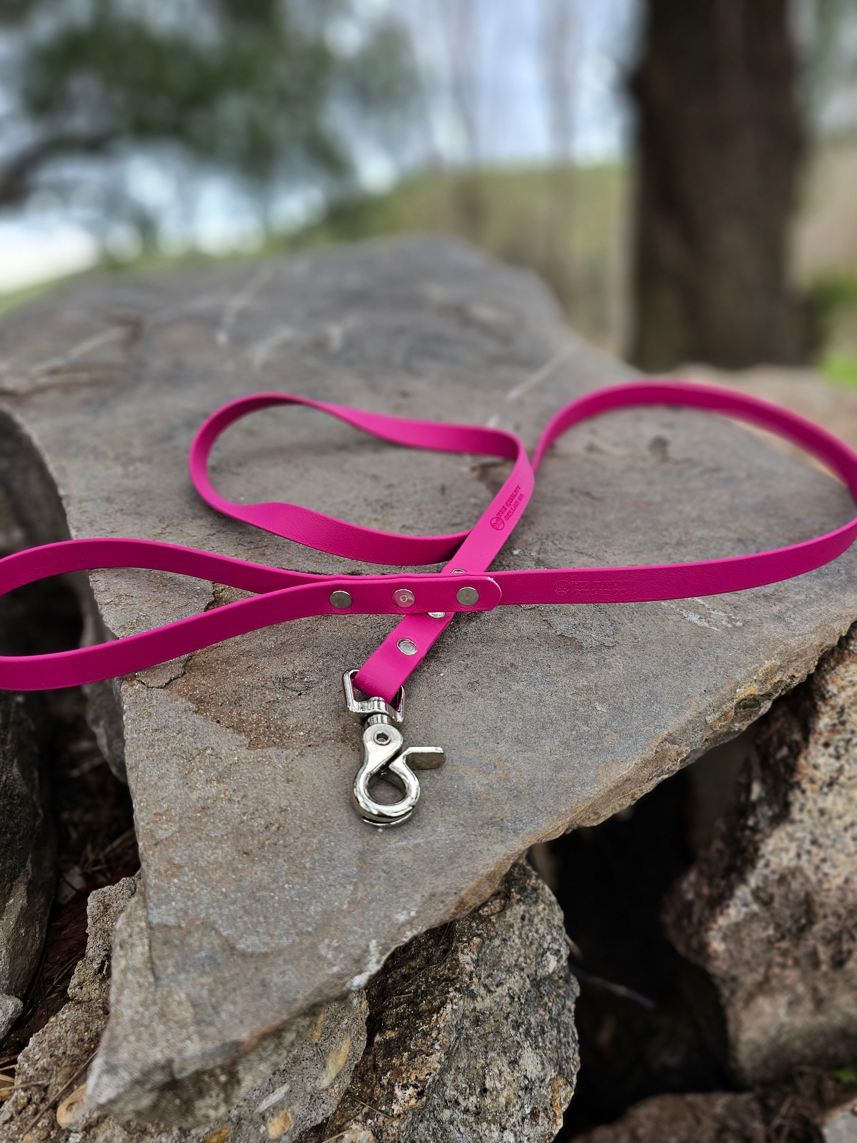 Standard leash