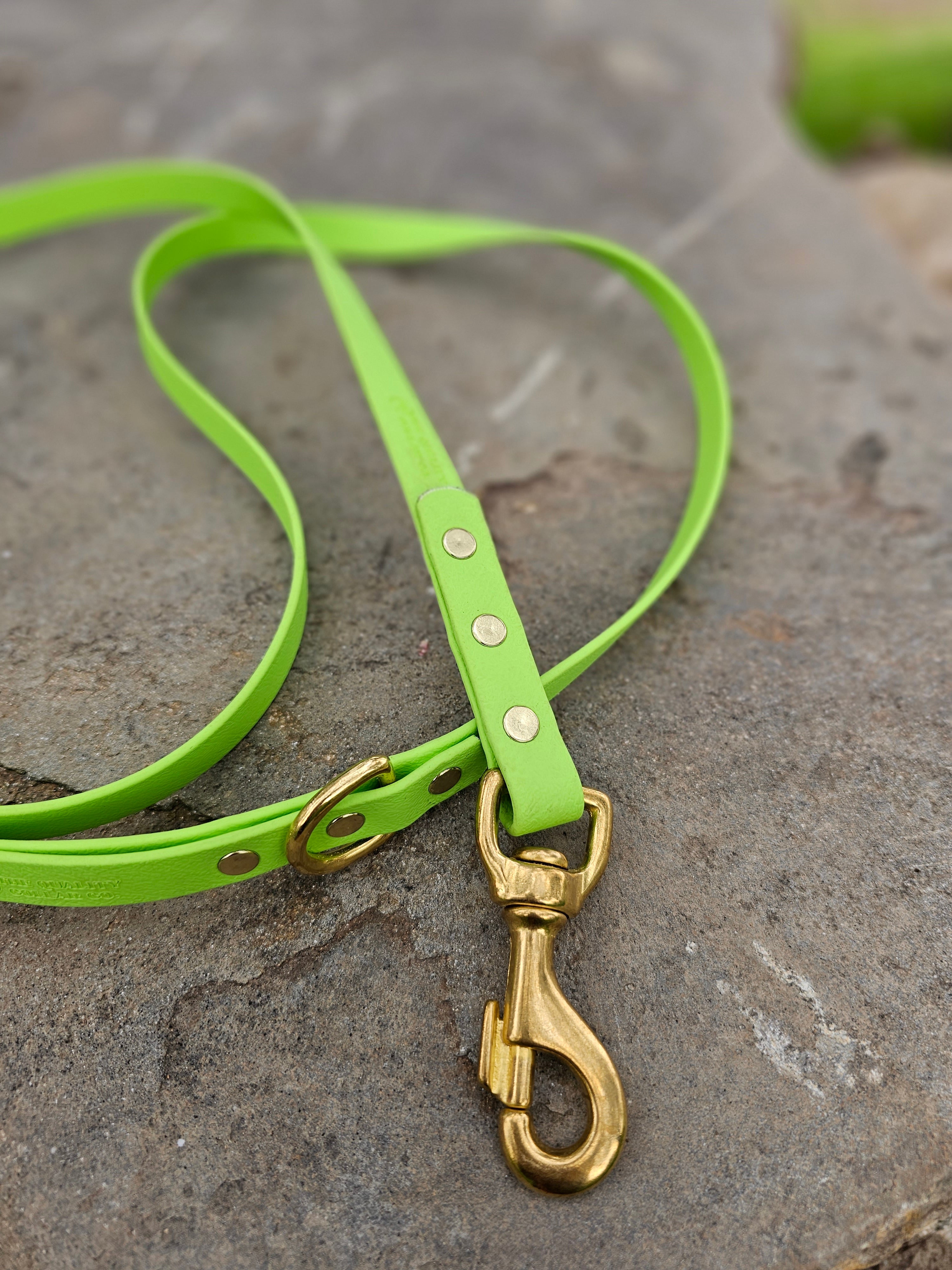 Standard leash