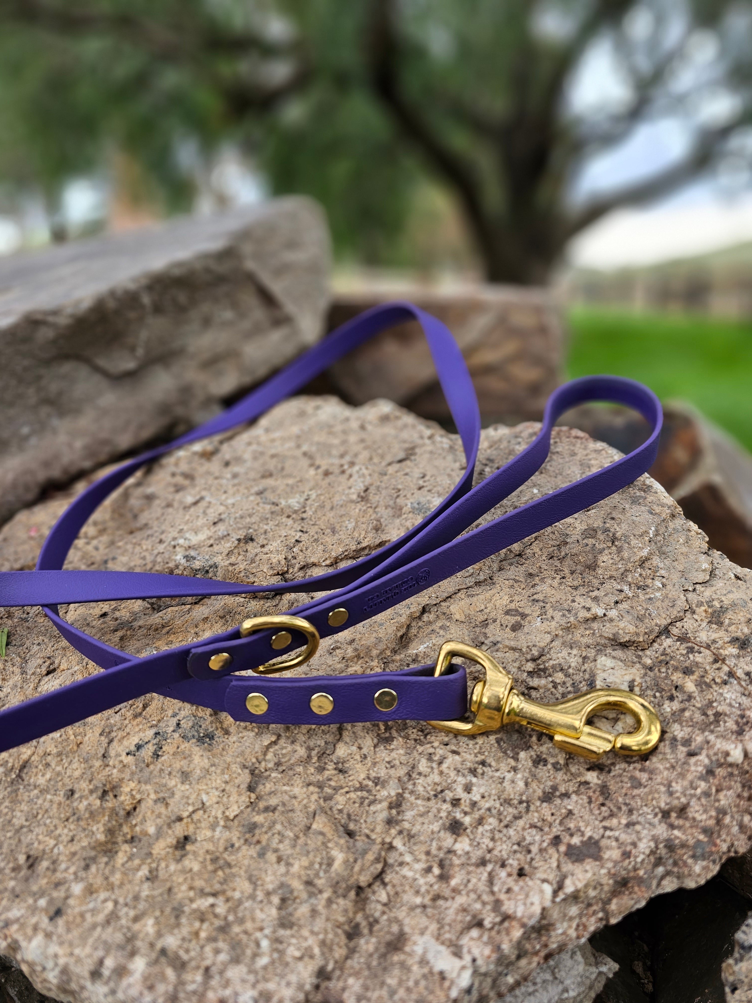Standard leash