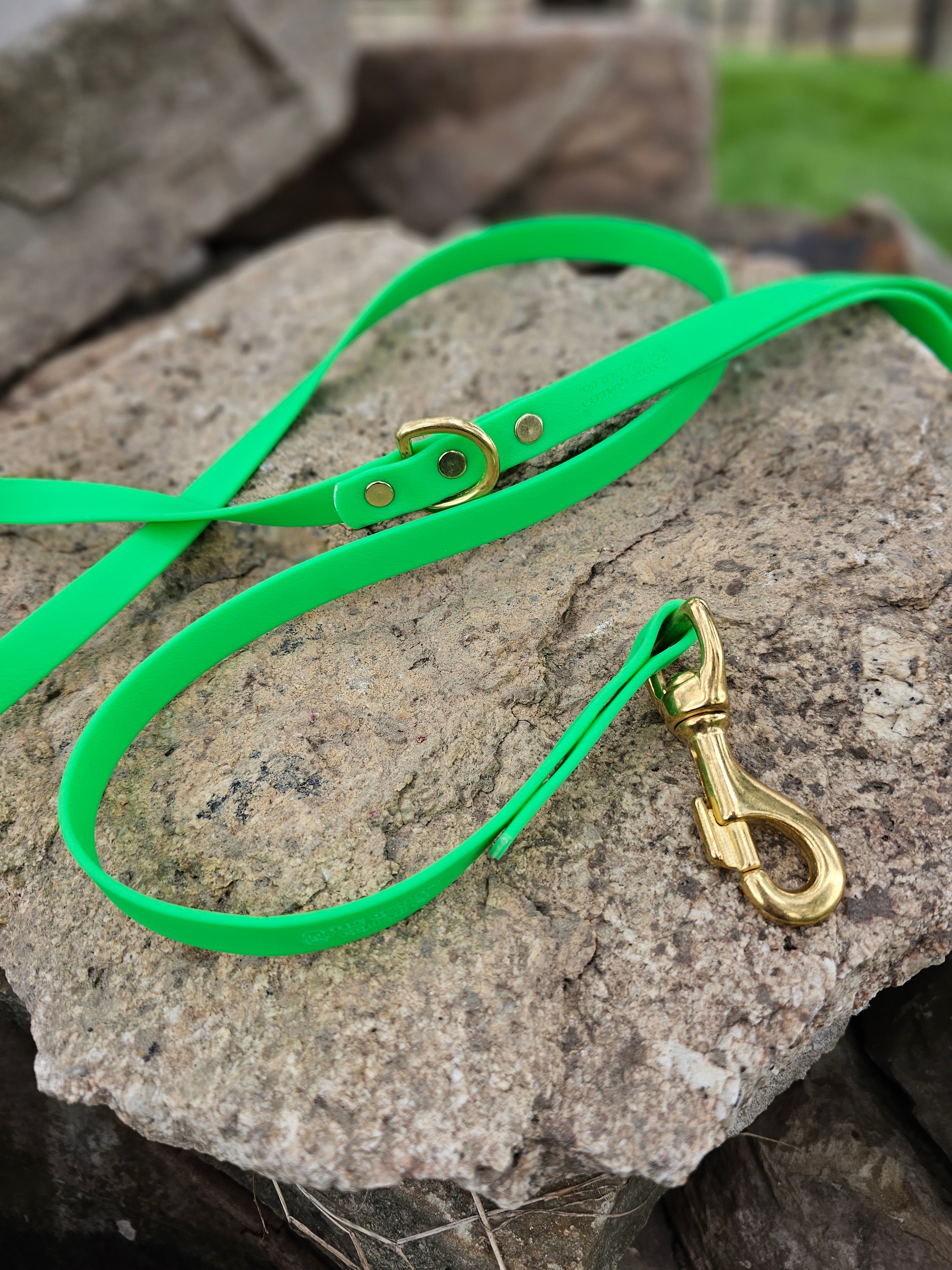 Standard leash