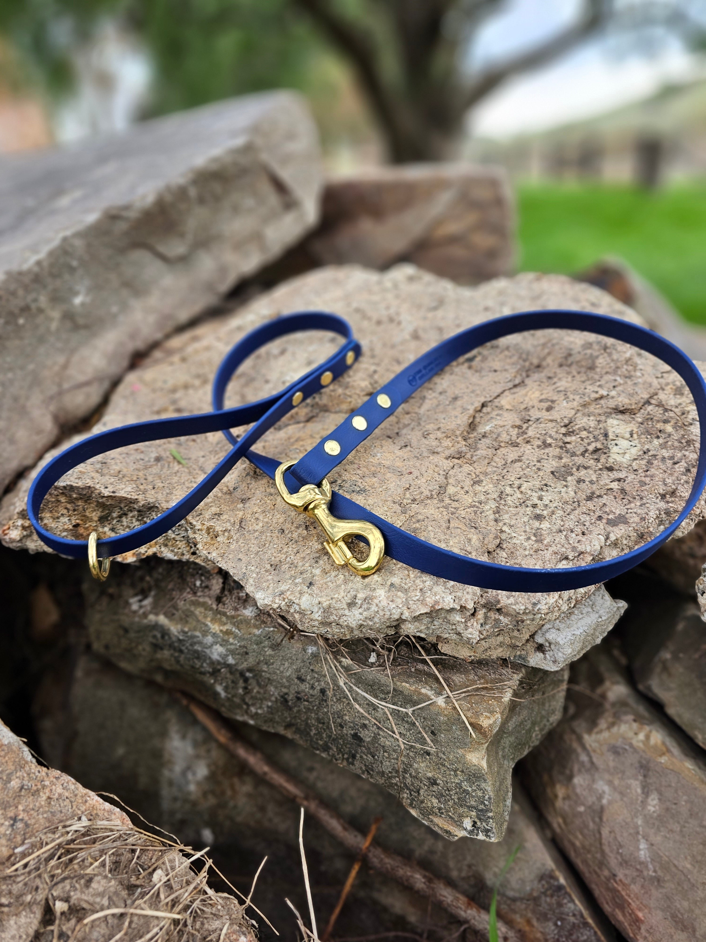 Standard leash
