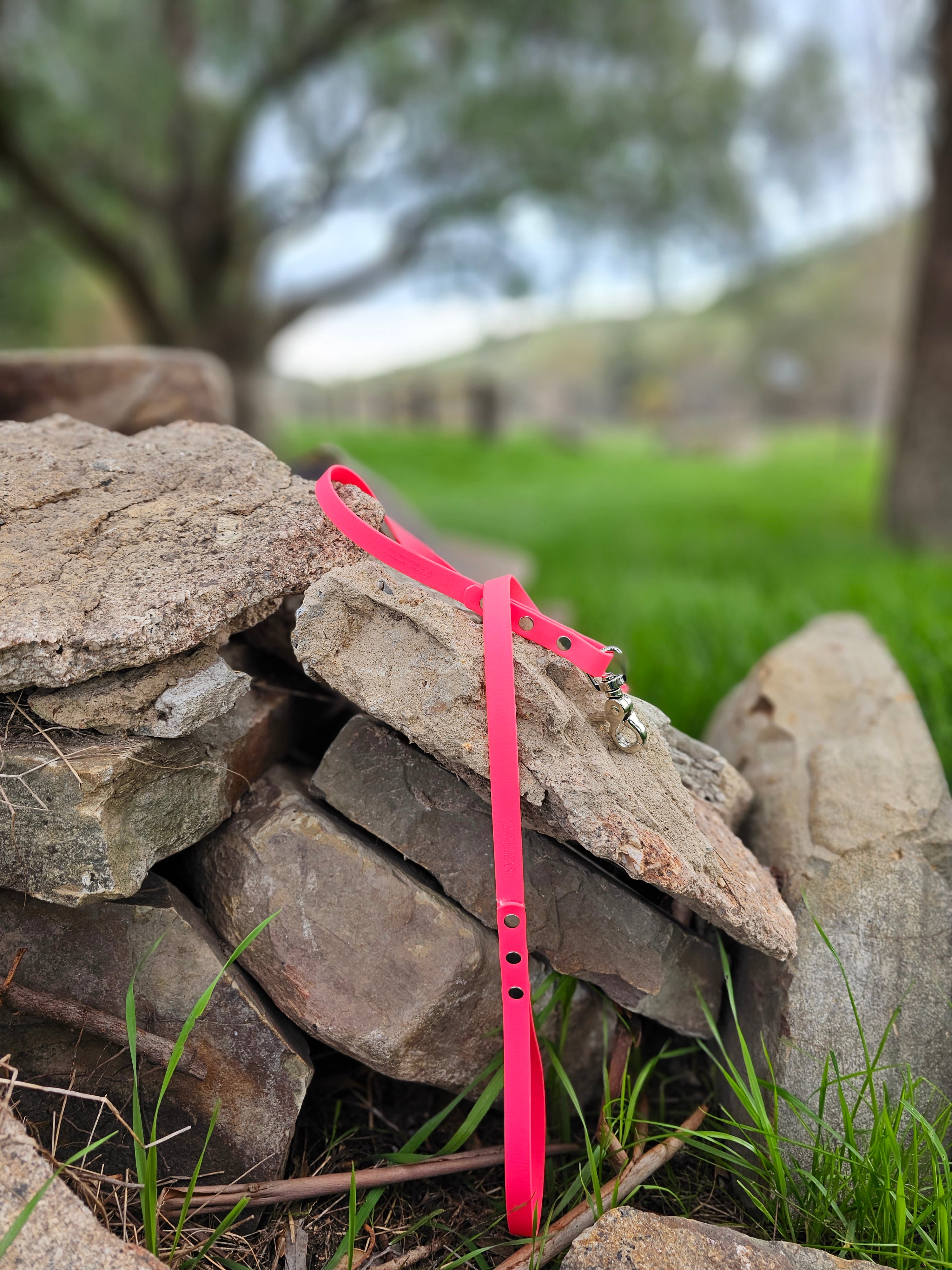 Standard leash