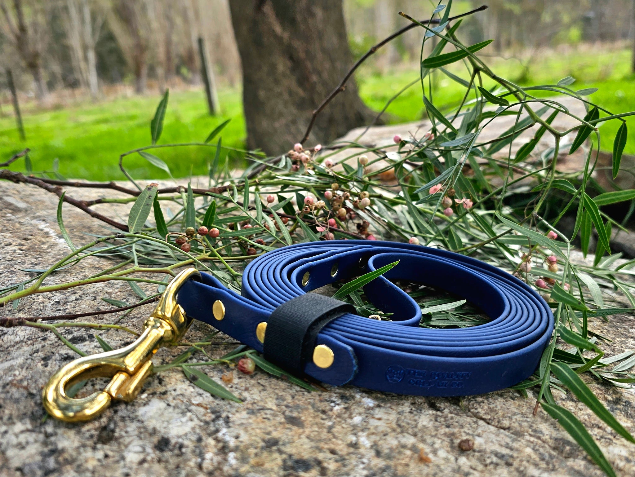 Biothane Rope Biothane Long Line – The Quality Collar Co.