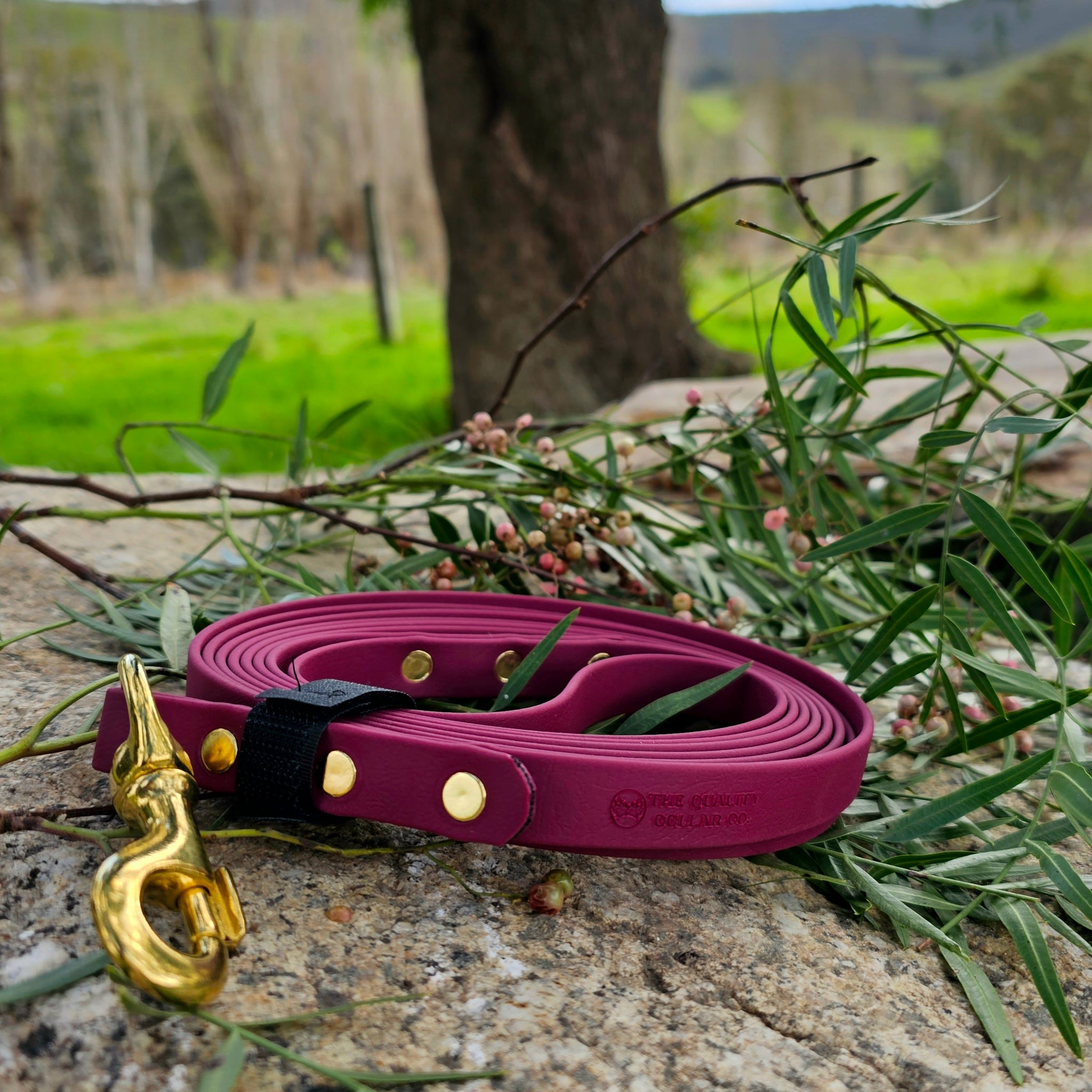 Biothane Rope Biothane Long Line – The Quality Collar Co.