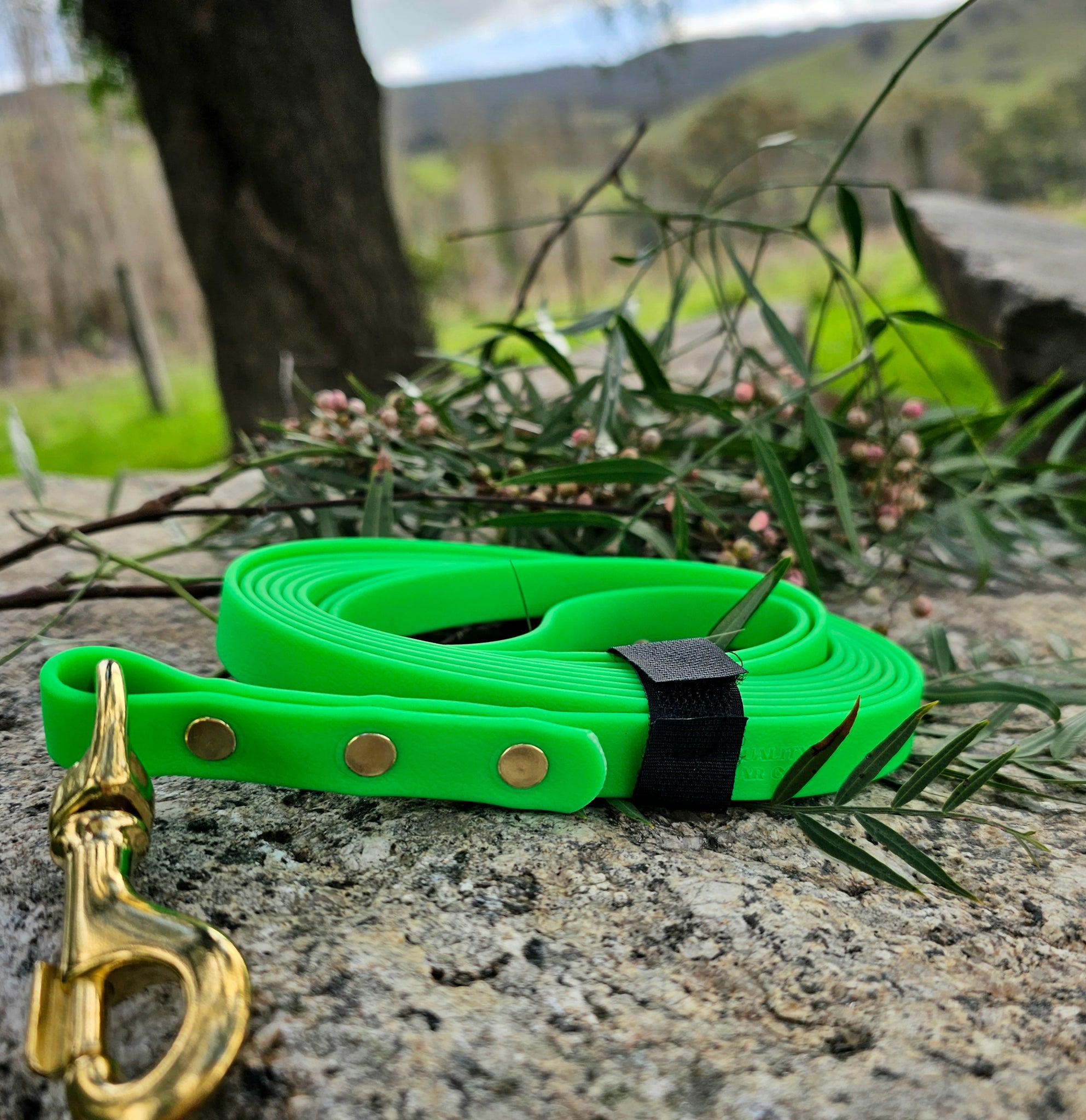 Biothane Rope Biothane Long Line – The Quality Collar Co.