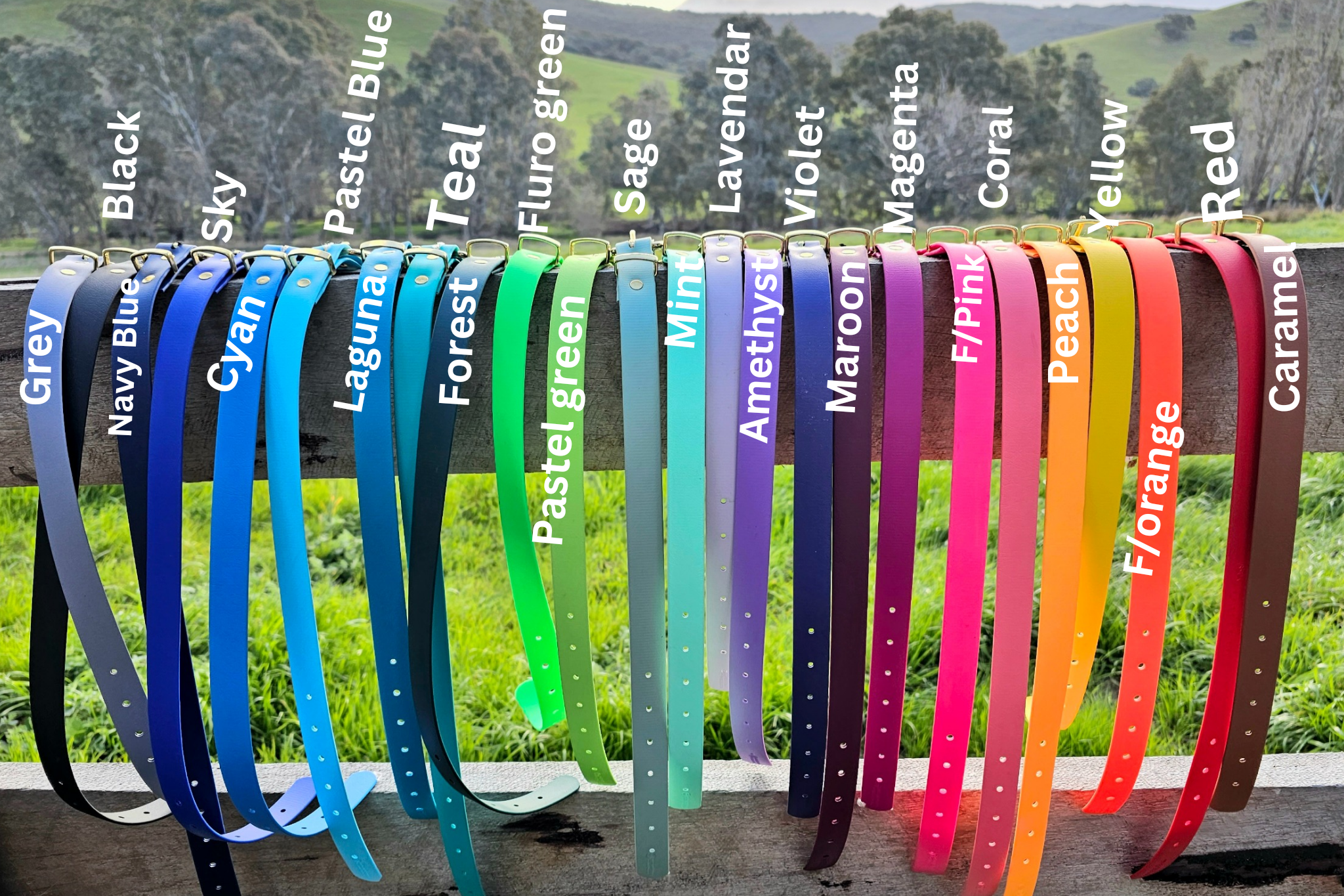 The Ultimate Adventure Leash
