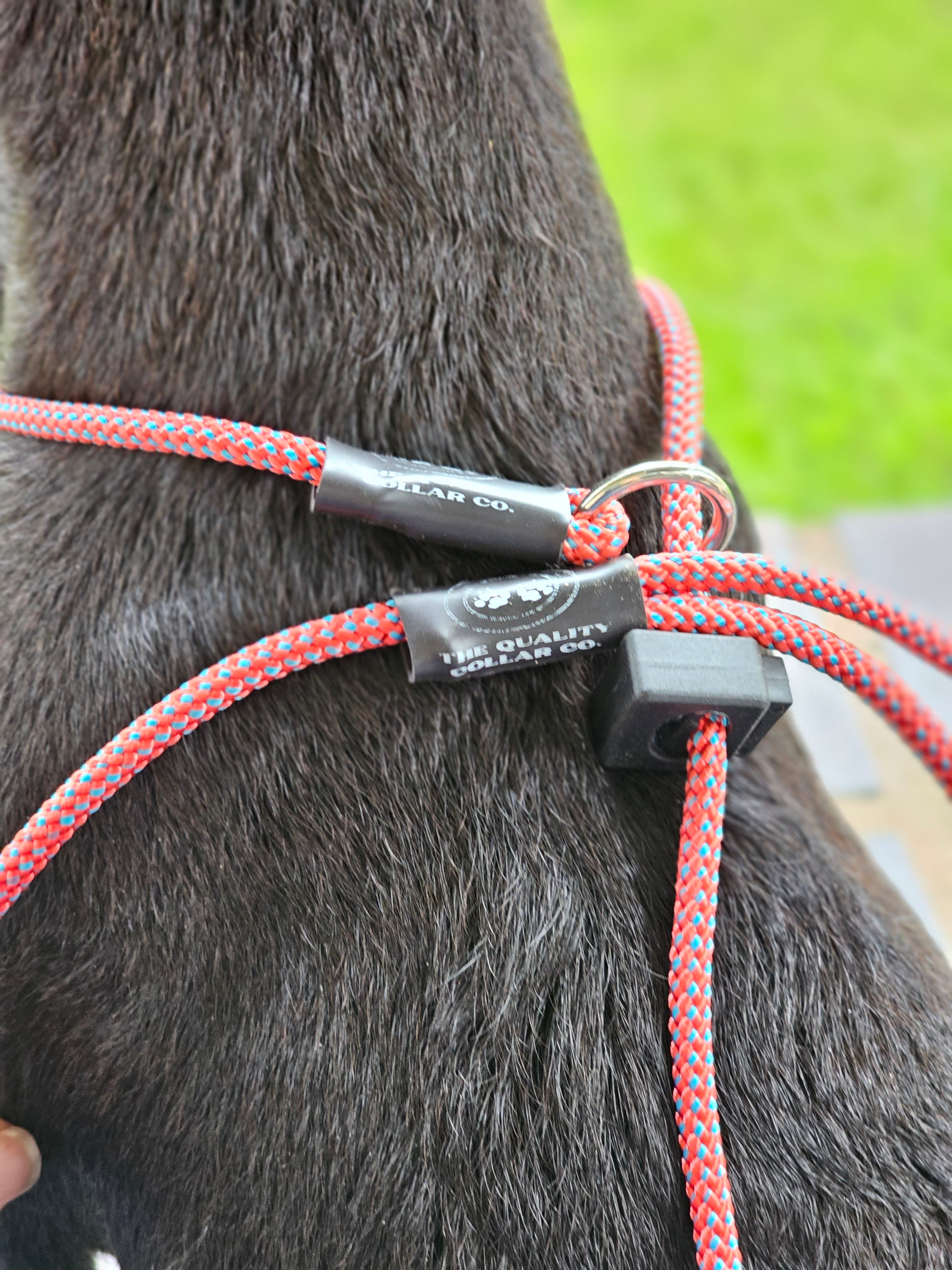 Spring '23 Colour Range Slip Leash