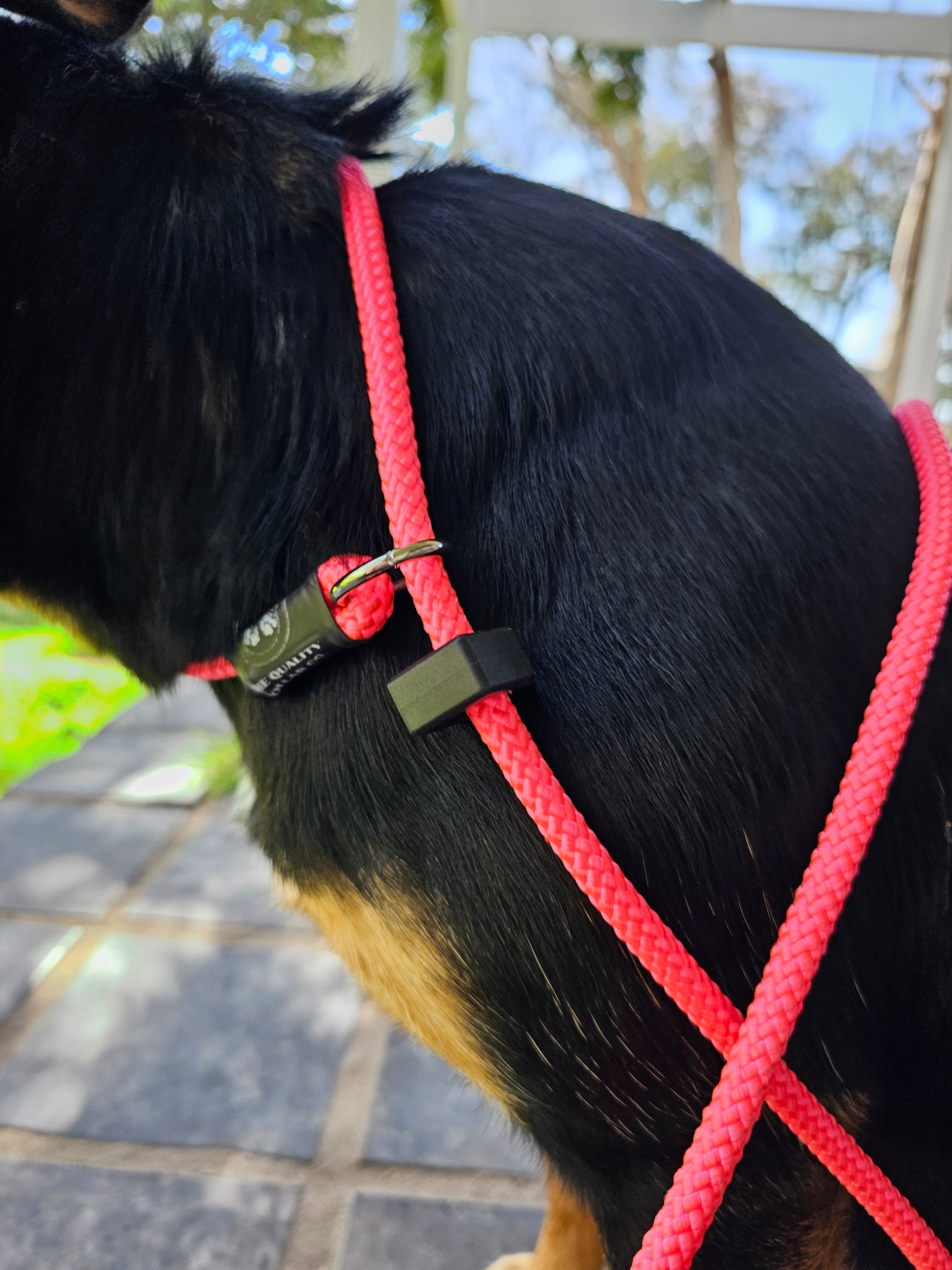 Spring '23 Colour Range Slip Leash