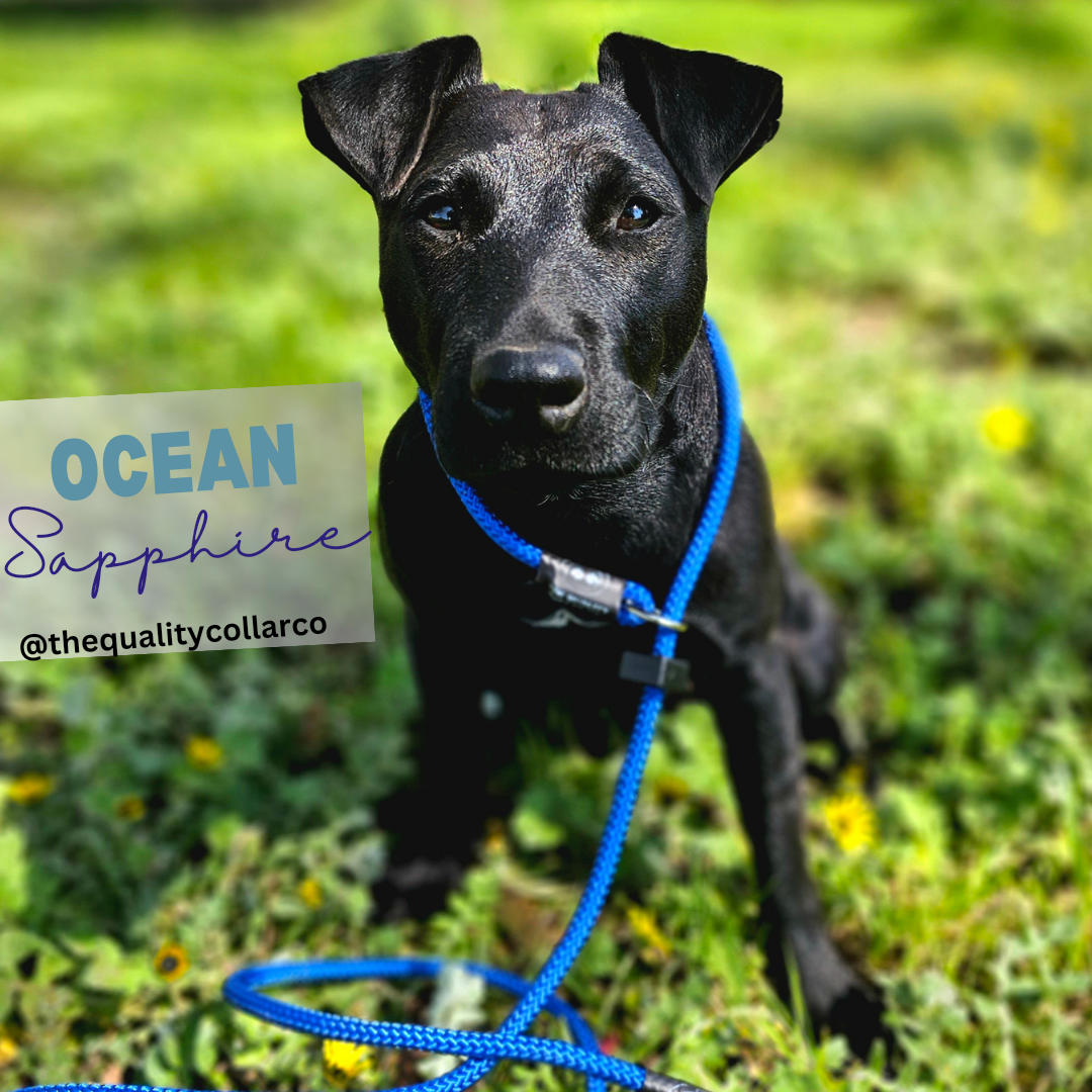 Spring '23 Colour Range Slip Leash