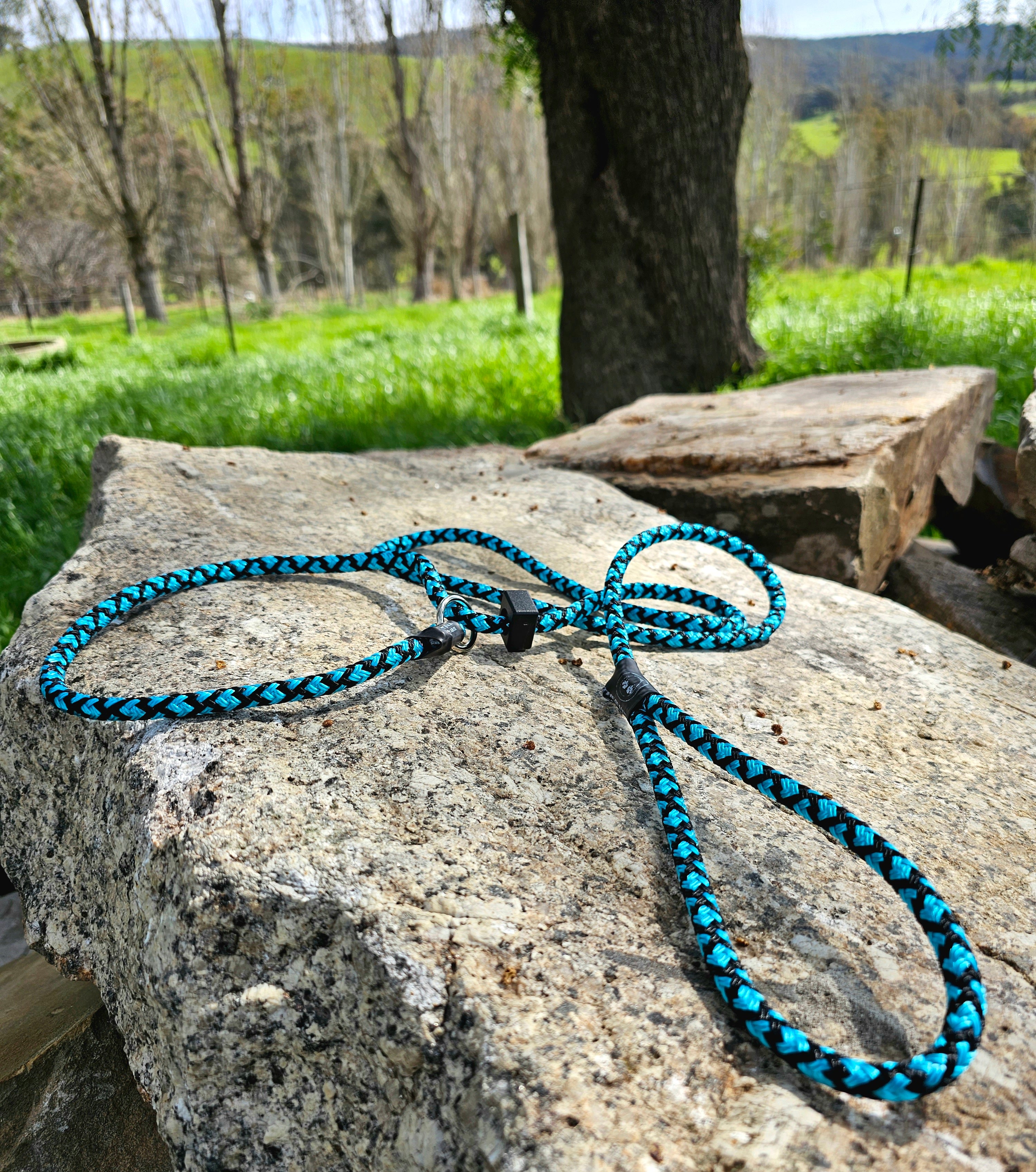 Spring '23 Colour Range Slip Leash