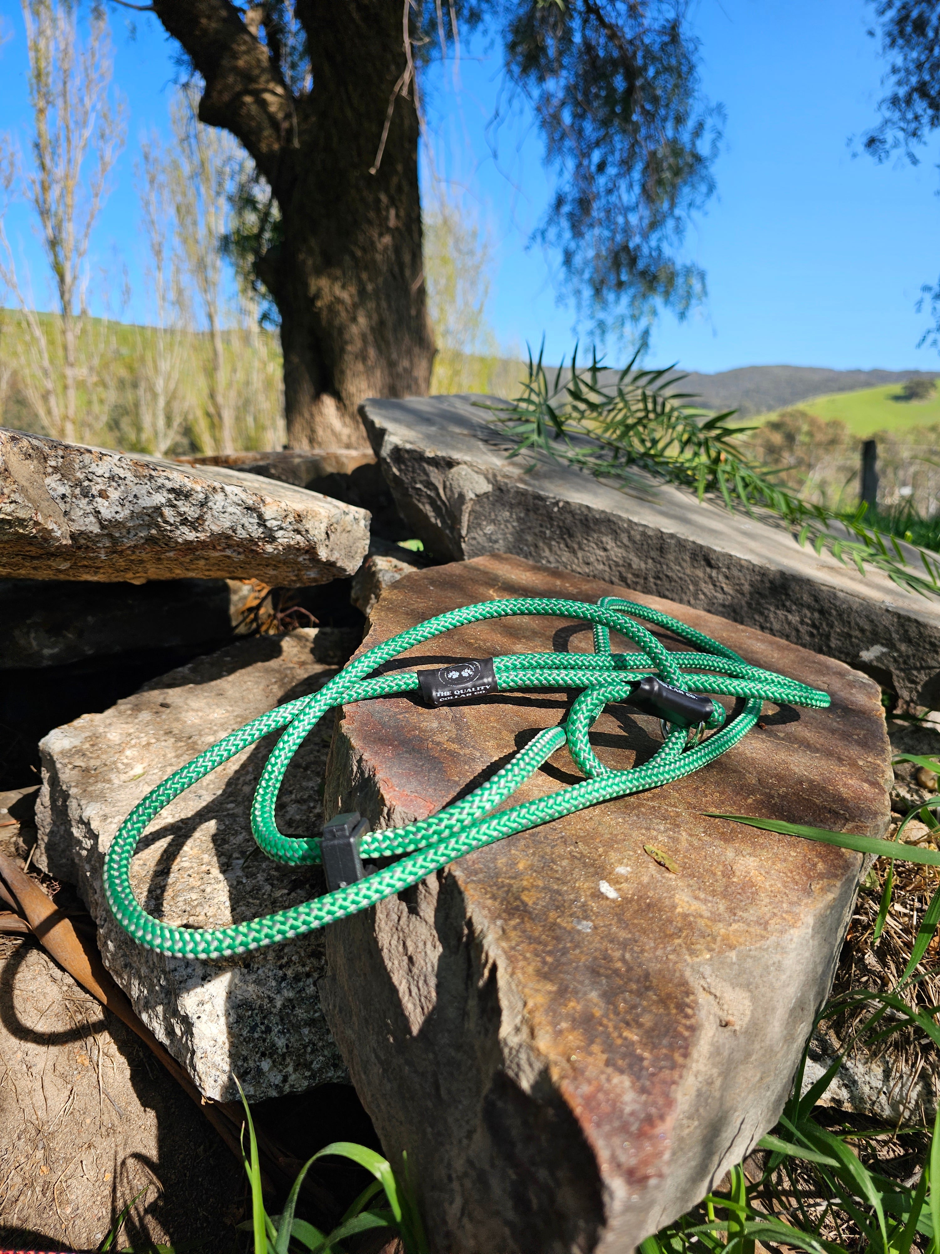 Spring '23 Colour Range Slip Leash