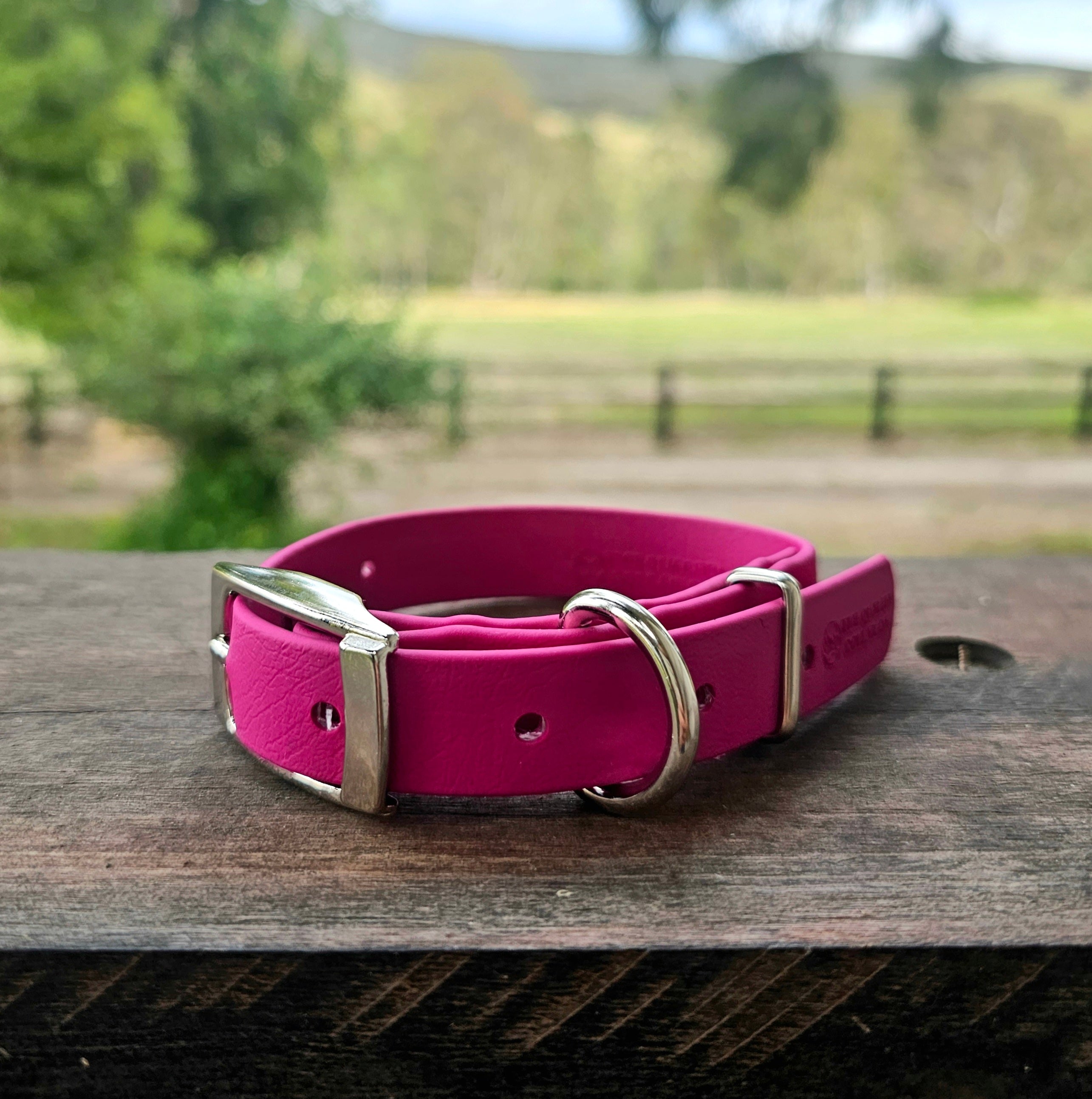 Puppy & Small Dog Collar