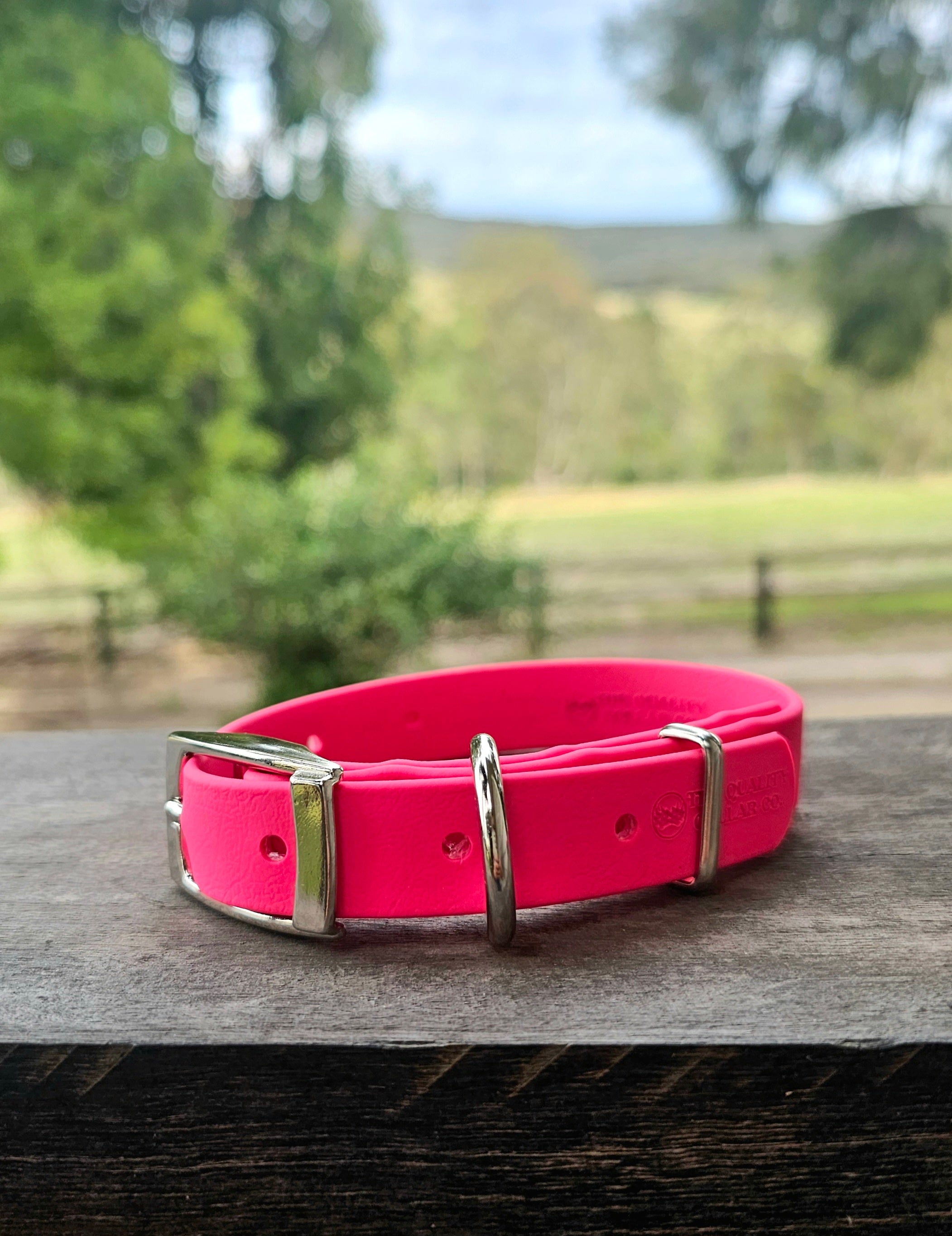 Puppy & Small Dog Collar