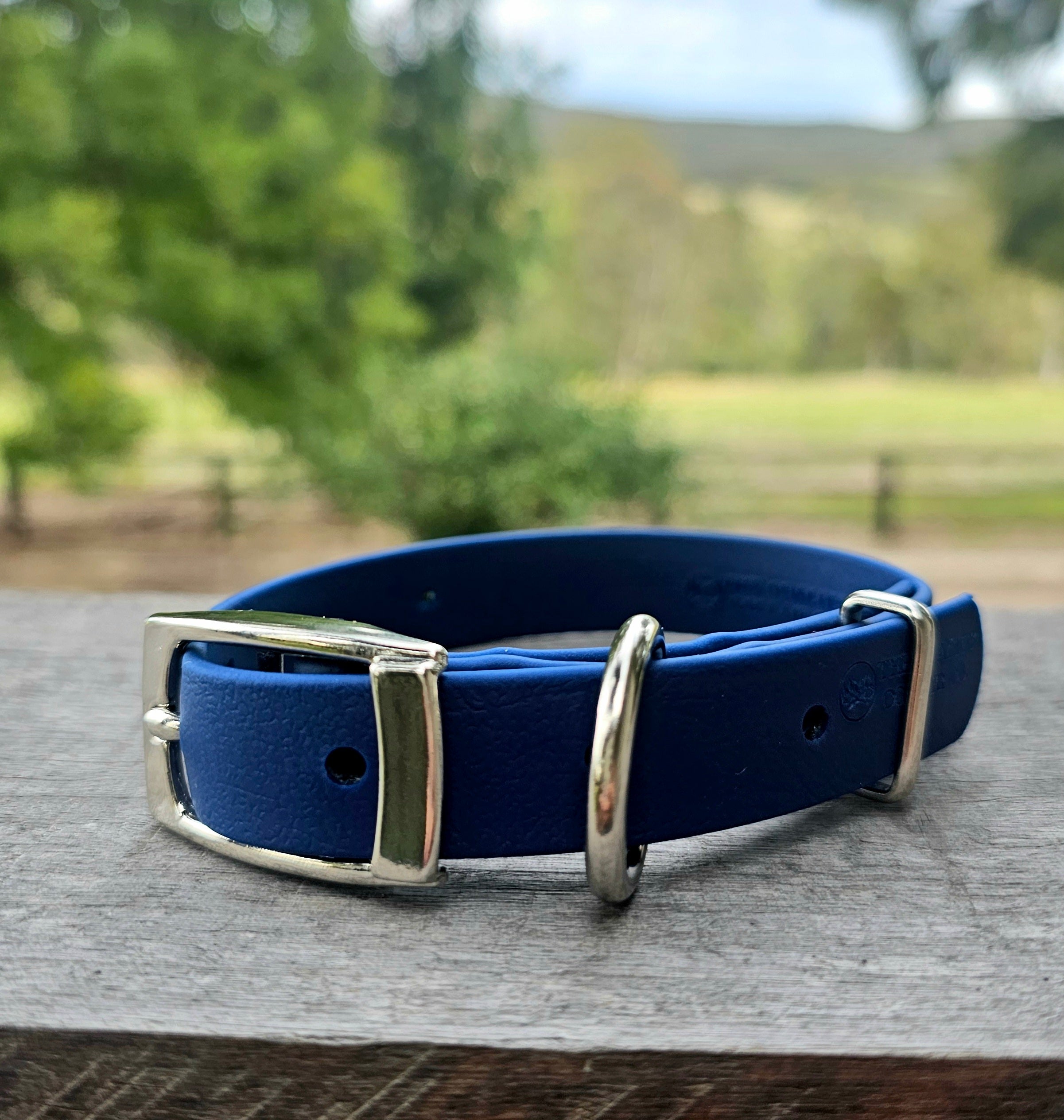 Puppy & Small Dog Collar
