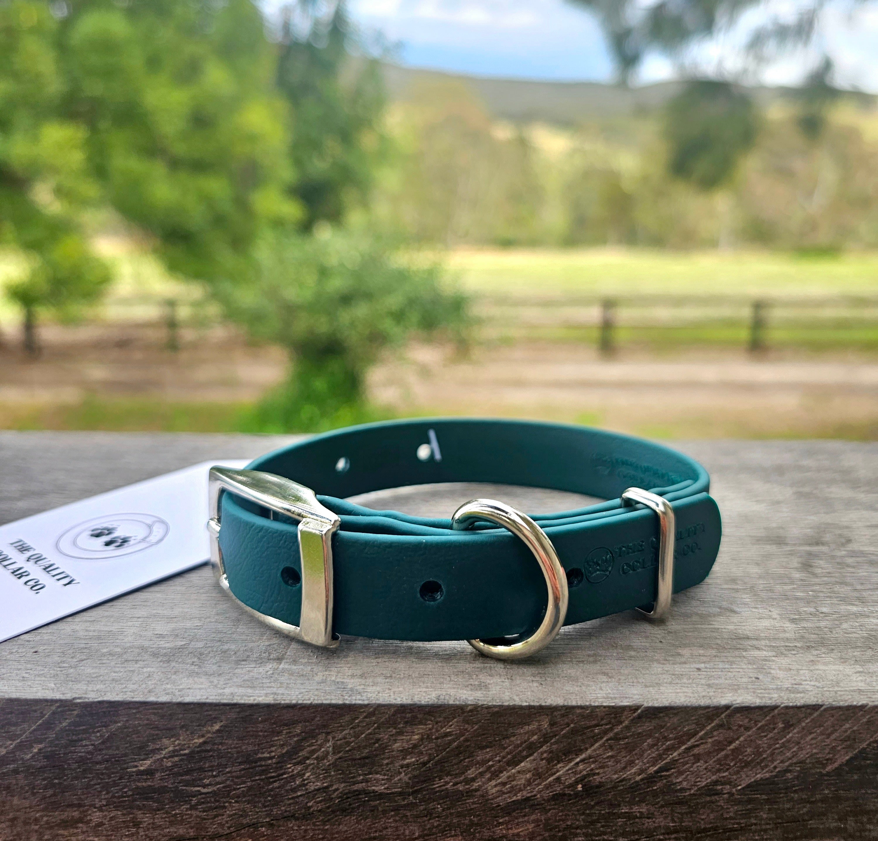 Puppy & Small Dog Collar