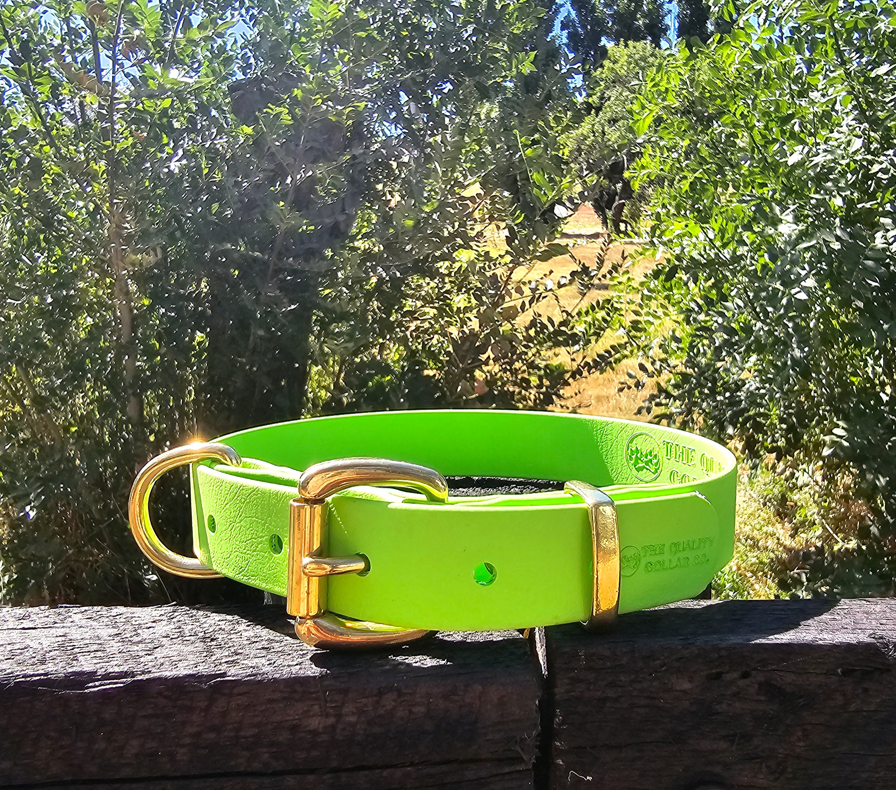 Working dog style flat collar with Brass Hardware 1 Inch Width