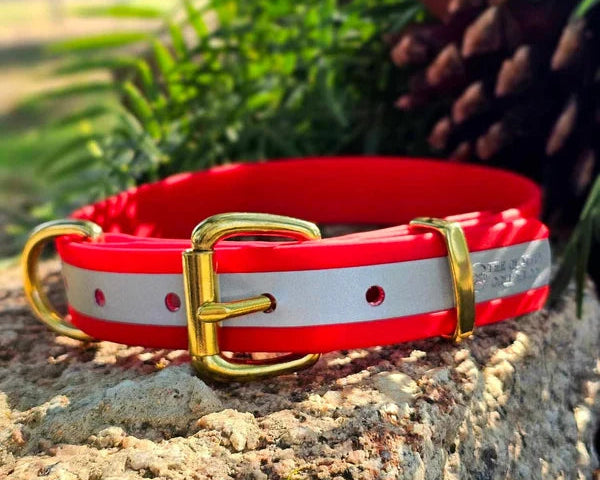 Waterproof collar