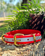 Load image into Gallery viewer, Hi-Viz Working dog style flat collar with Brass Hardware (1”/25mm Width)
