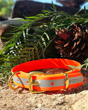 Load image into Gallery viewer, Hi-Viz Working dog style flat collar with Brass Hardware (1”/25mm Width)
