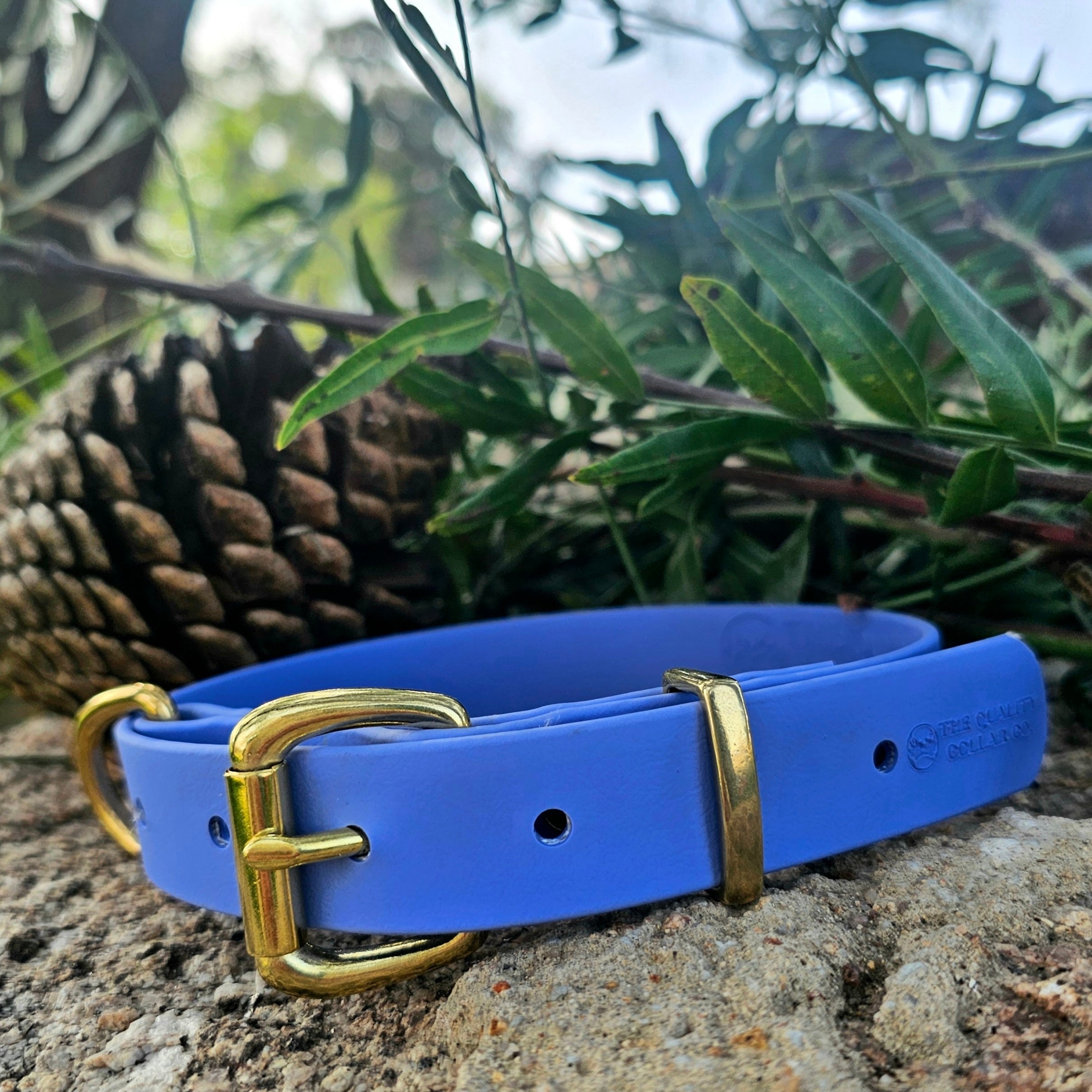 Working dog style flat collar with Brass Hardware 1 Inch Width