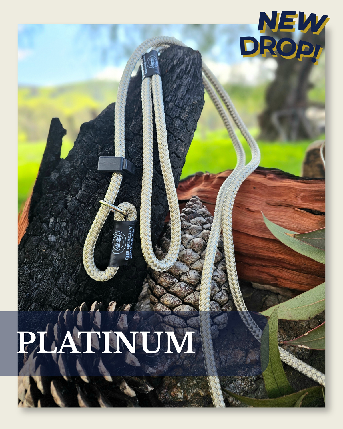 New Release- Country Western 26'