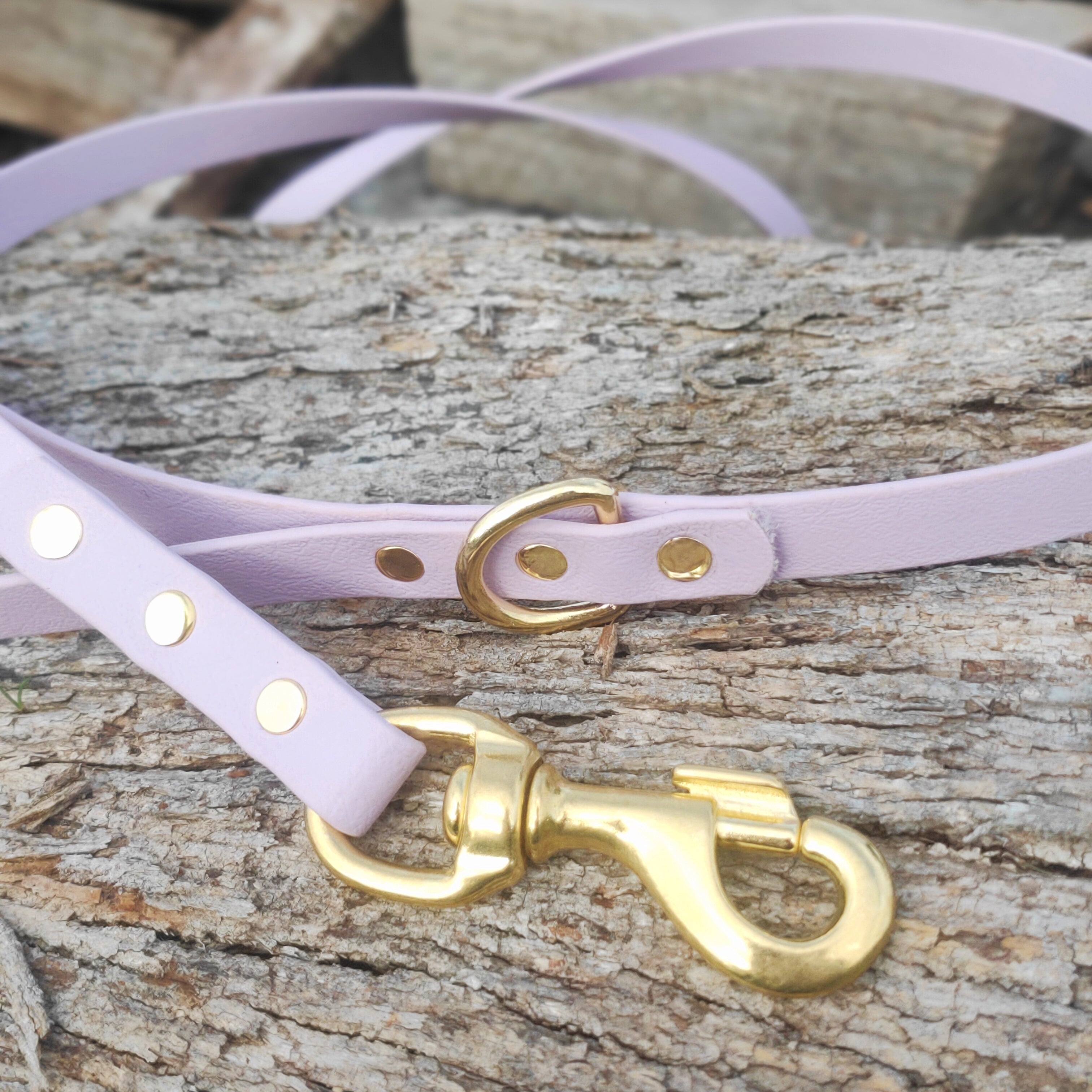 Standard leash