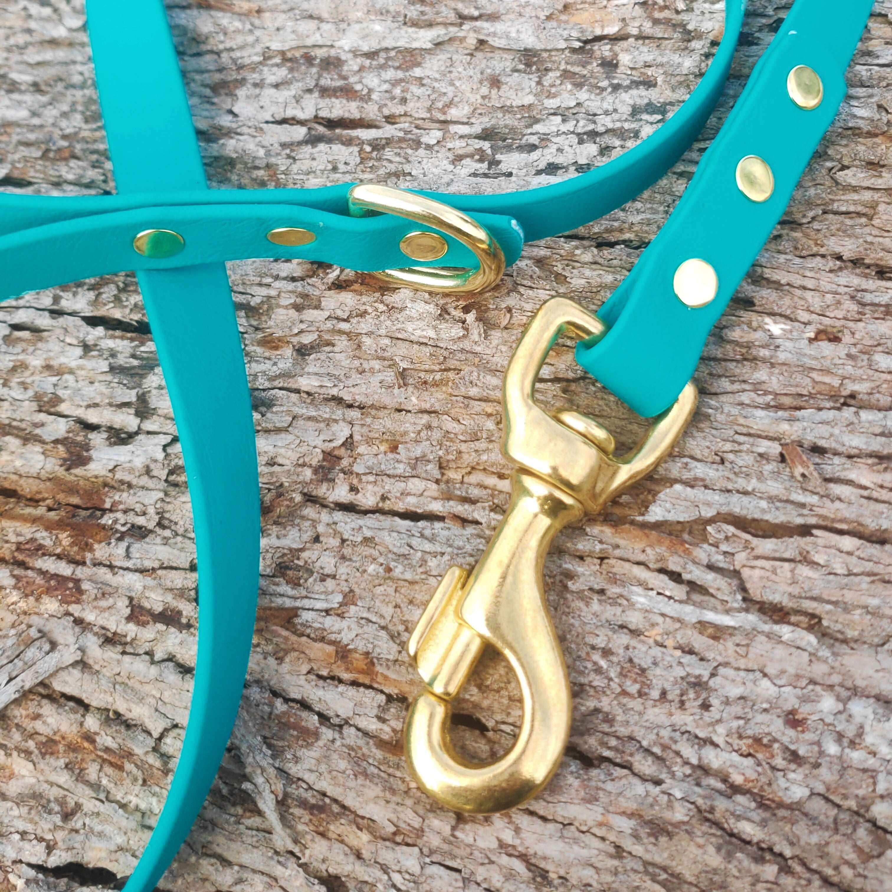 Standard leash