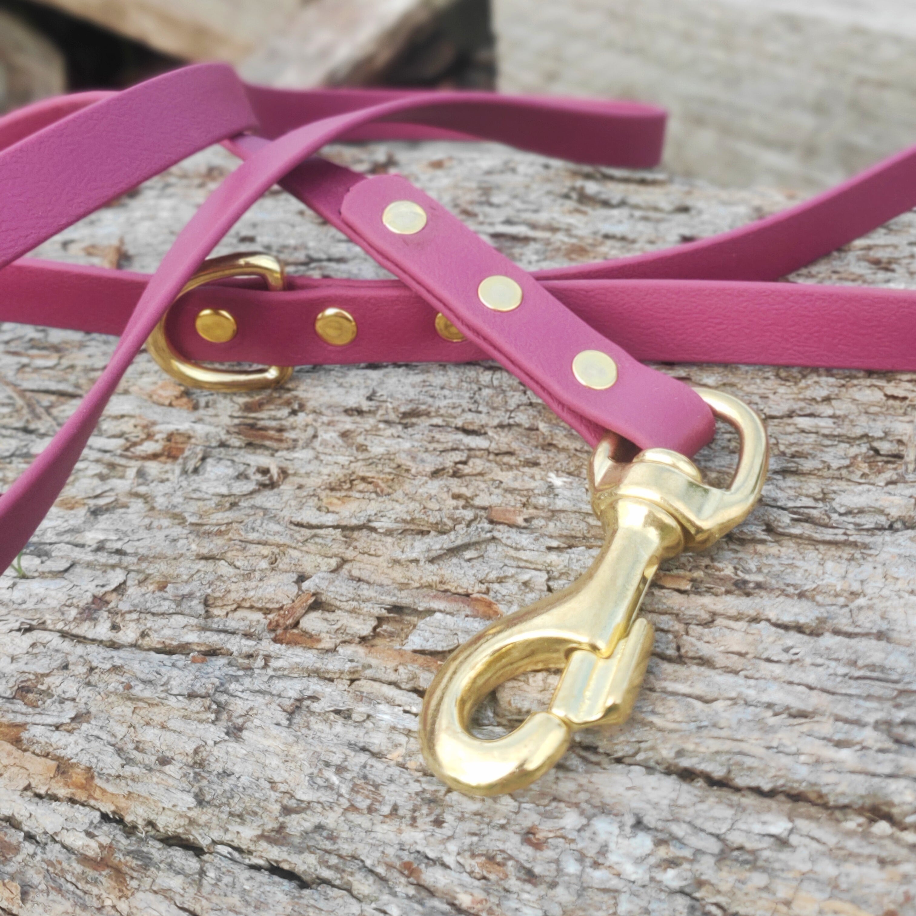 Standard leash