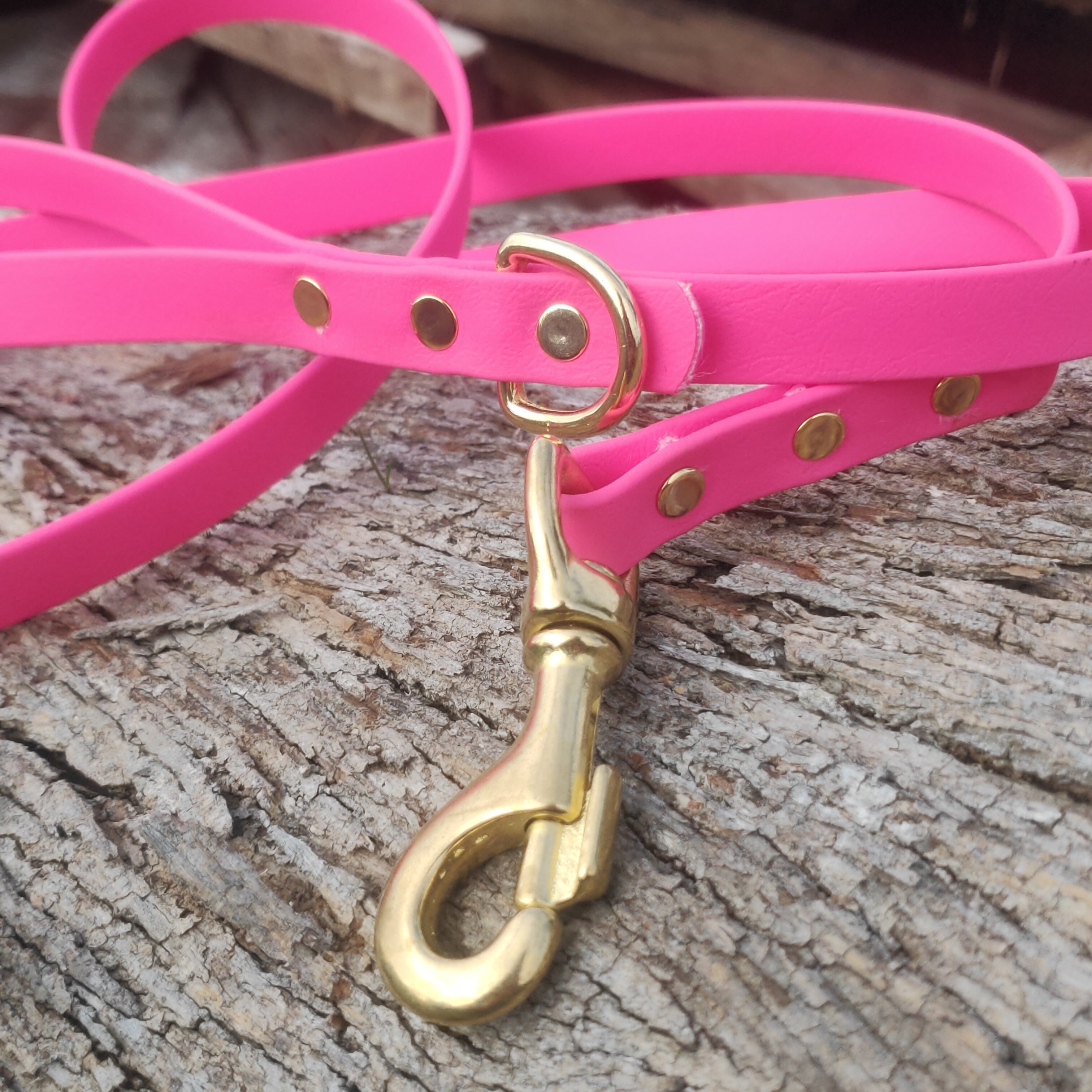 Standard leash