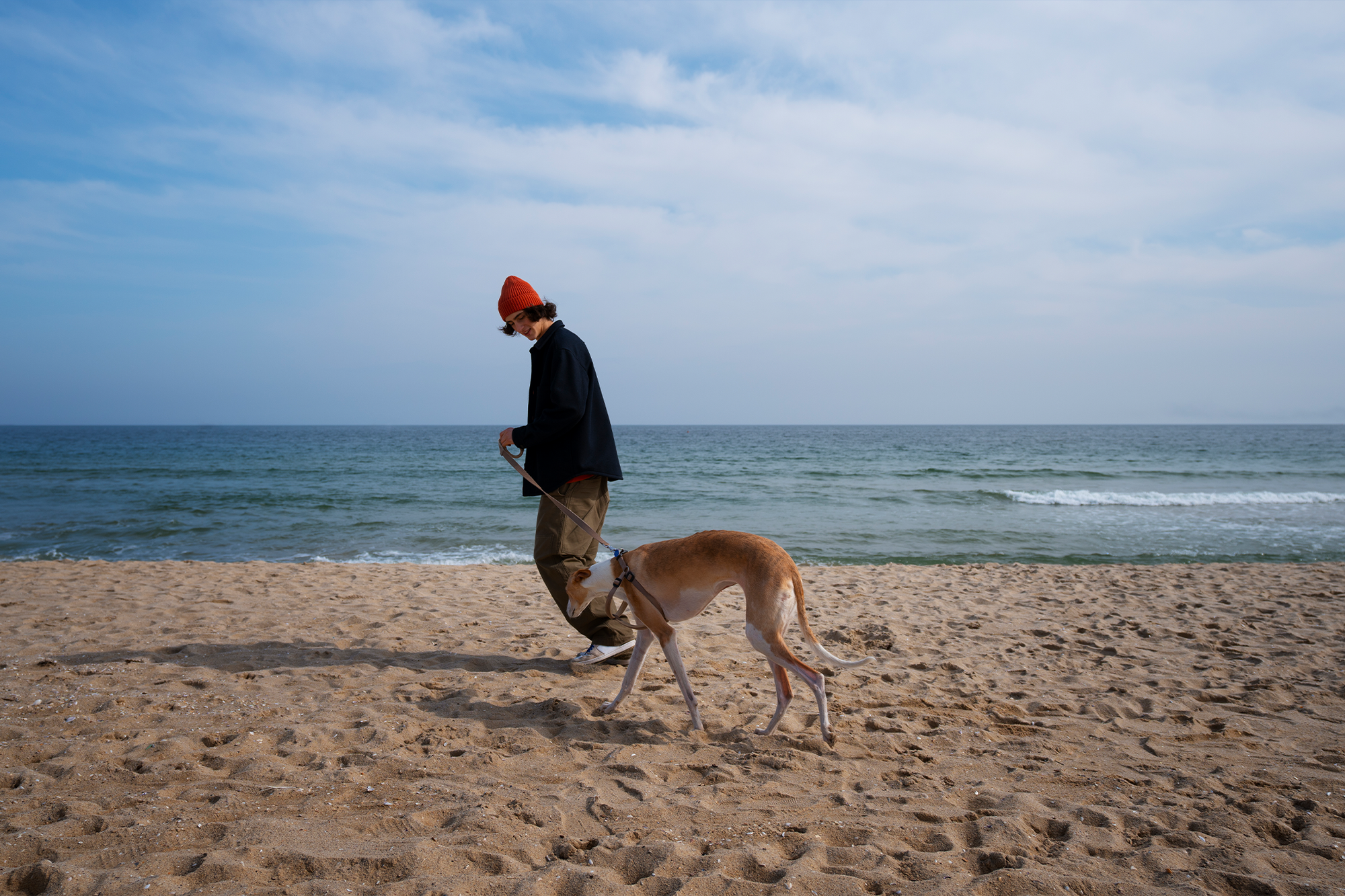 greyhound-dog-with-male-owner-beach.jpg.png__PID:f8ebe66a-4eec-43bf-85a3-8612bd1640a6