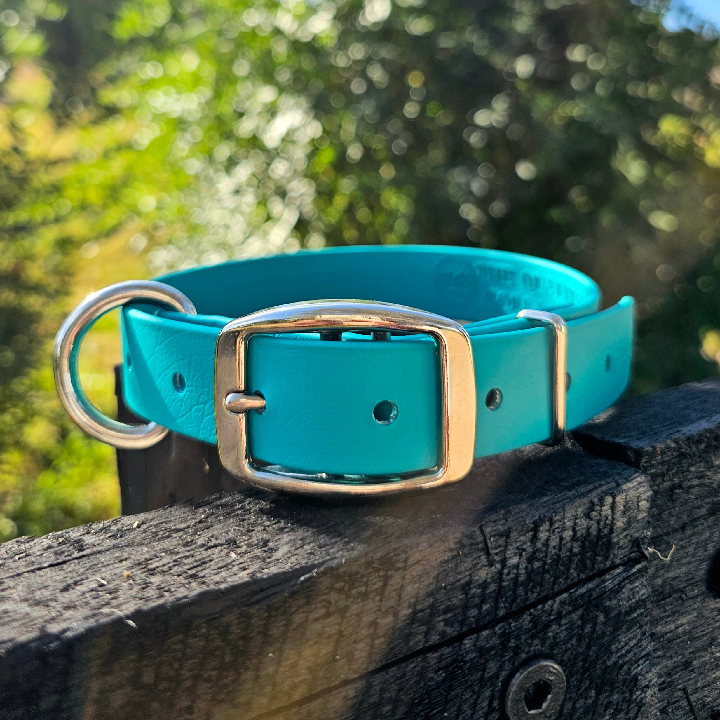 Working dog style flat collar 1 Inch Width